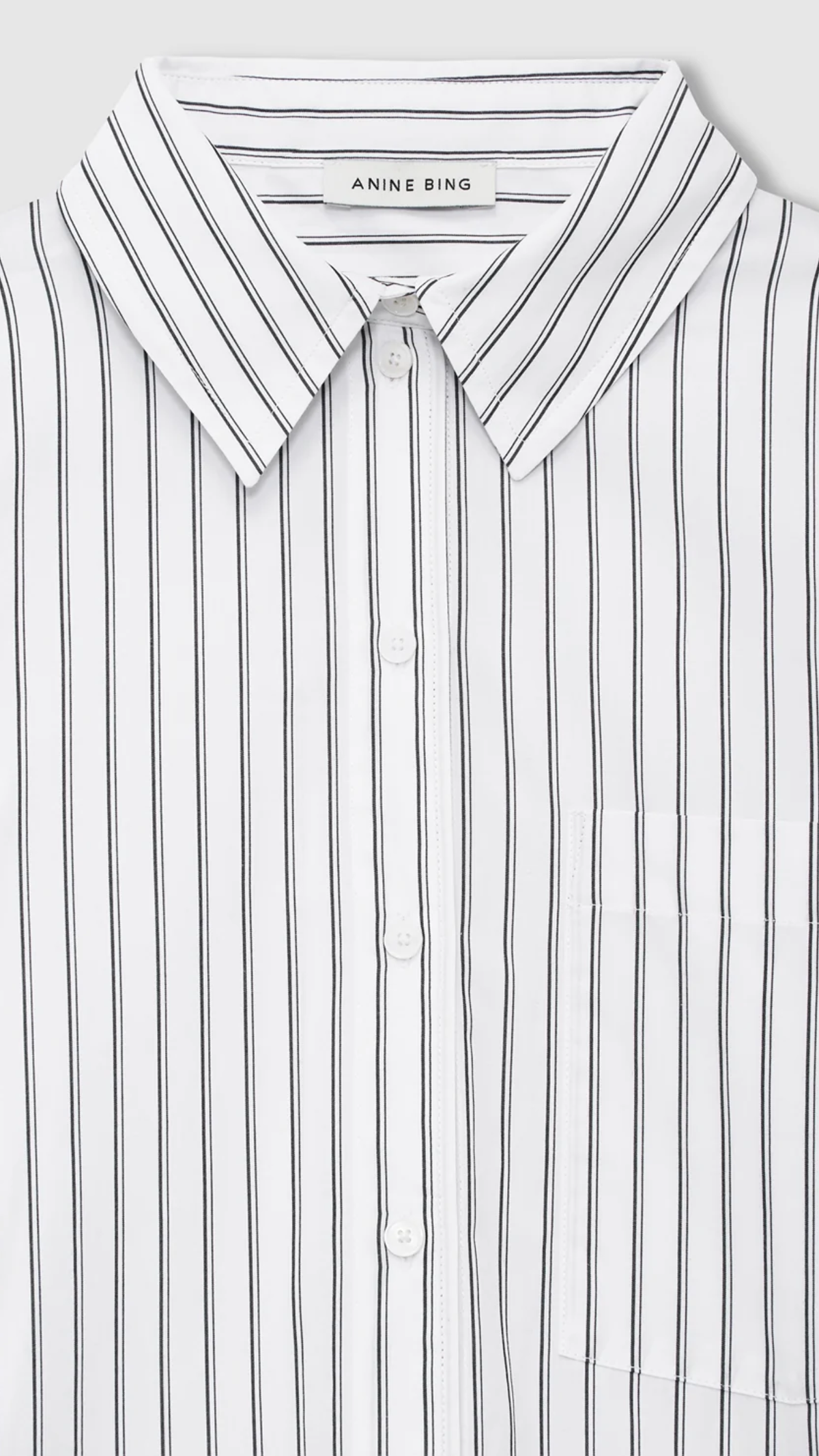 Anine Bing Scott Shirt in White and Black Stripe