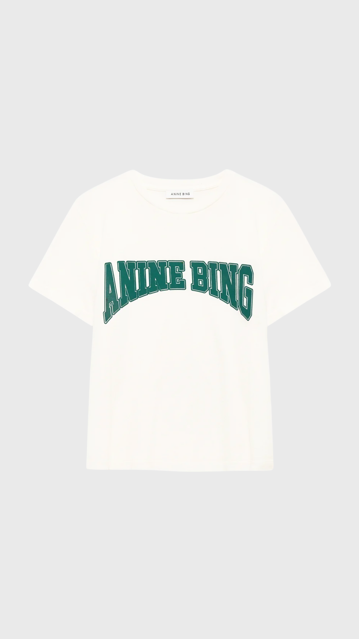 Anine Bing Shelley Tee in Ecru Green
