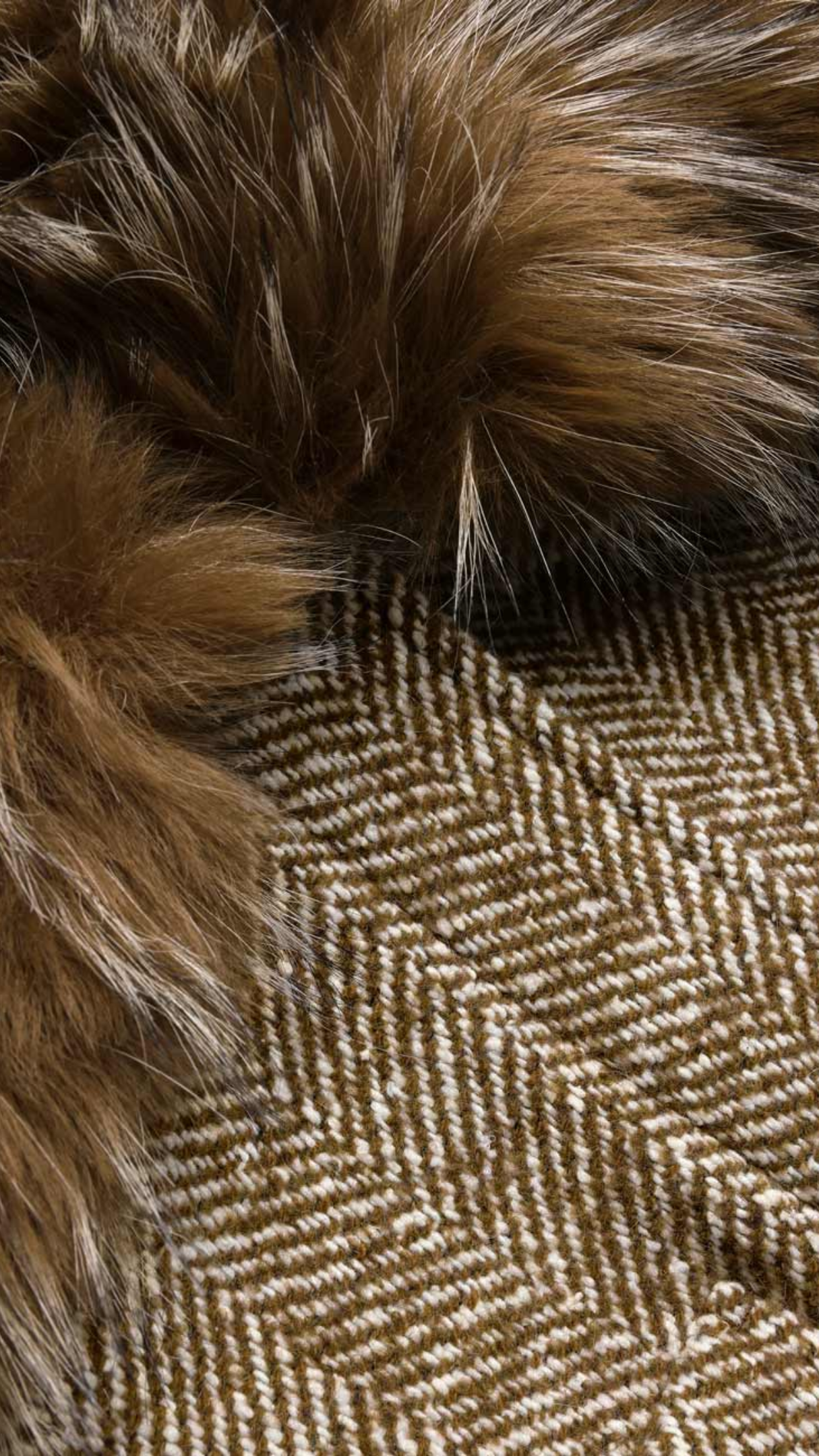 Zimmermann Valiant Faux Fur Collar Biker Jacket in Camel