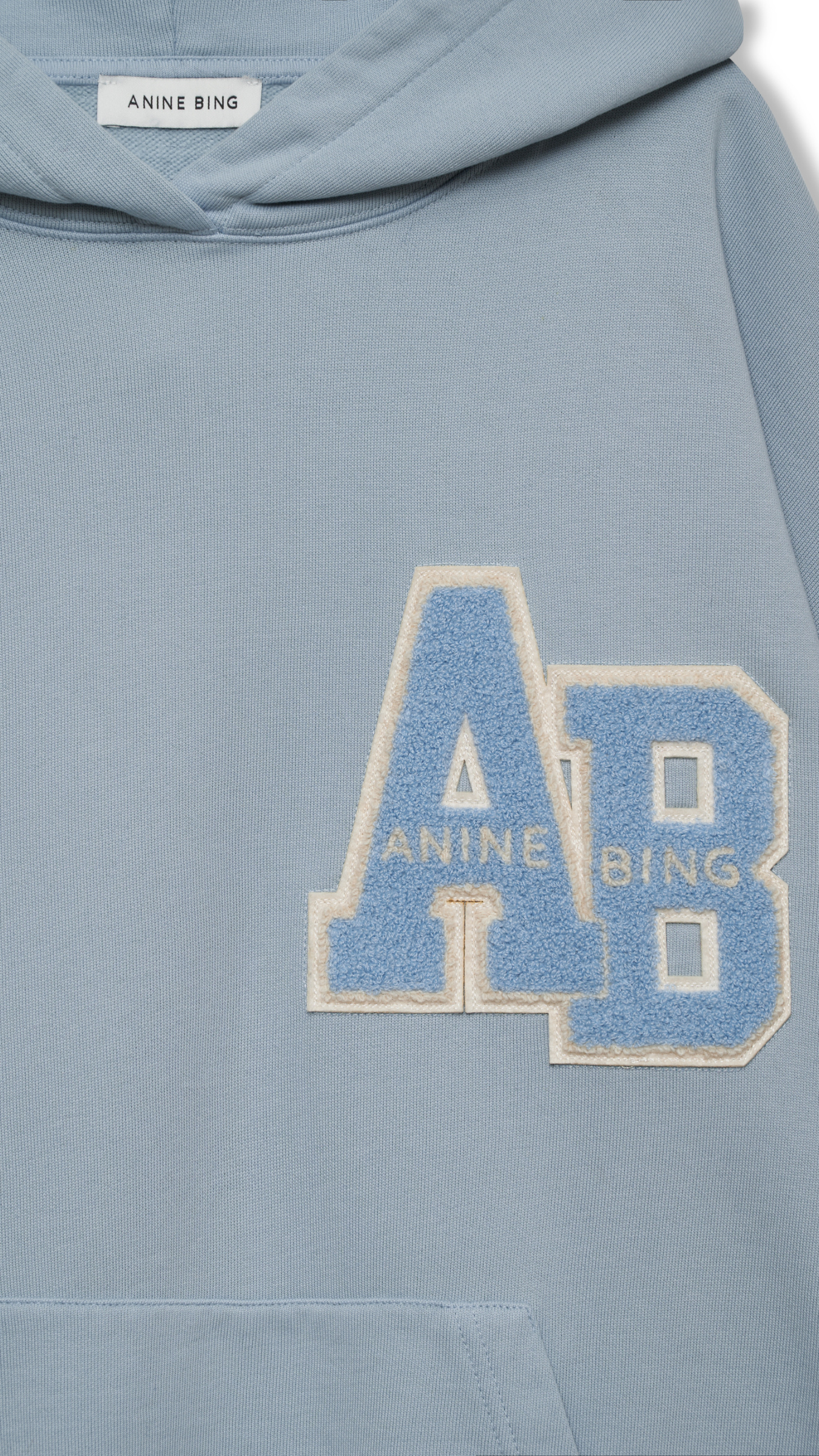 Anine Bing Harvey Letterman Sweatshirt in Blue