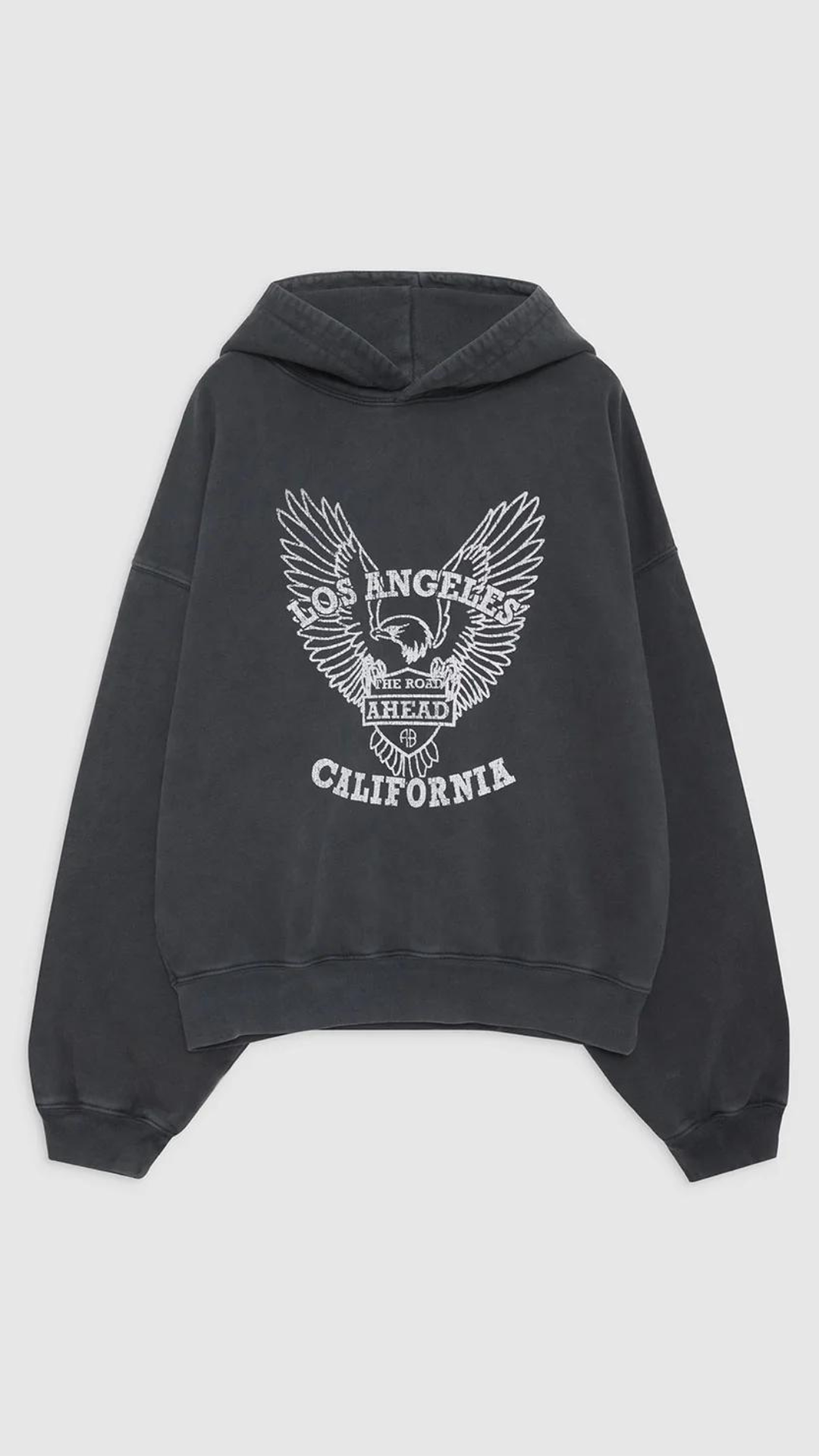 Anine Bing Alec Hoodie With Eagle