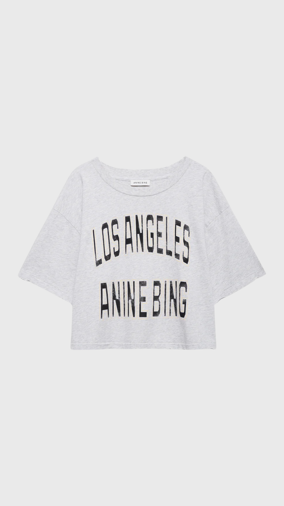 Anine Bing Johnny Cropped Tee in Grey