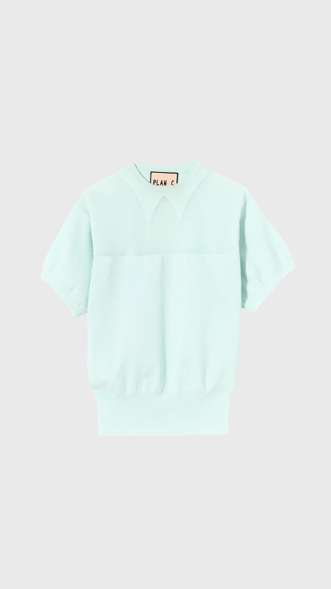 Plan C Short Sleeve Intarsia Knit Crew in Powder Blue