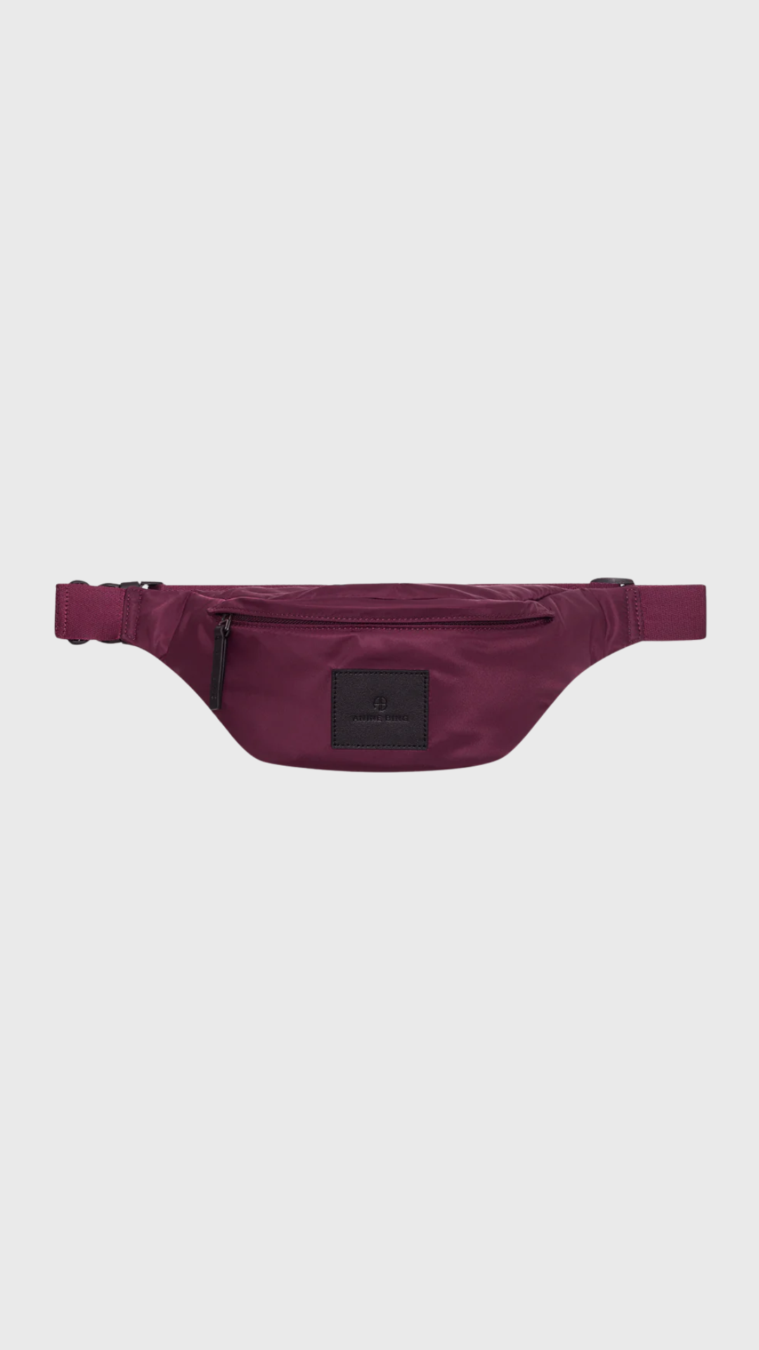 Anine Bing Leon Small Waist Bag Nylon in Fig