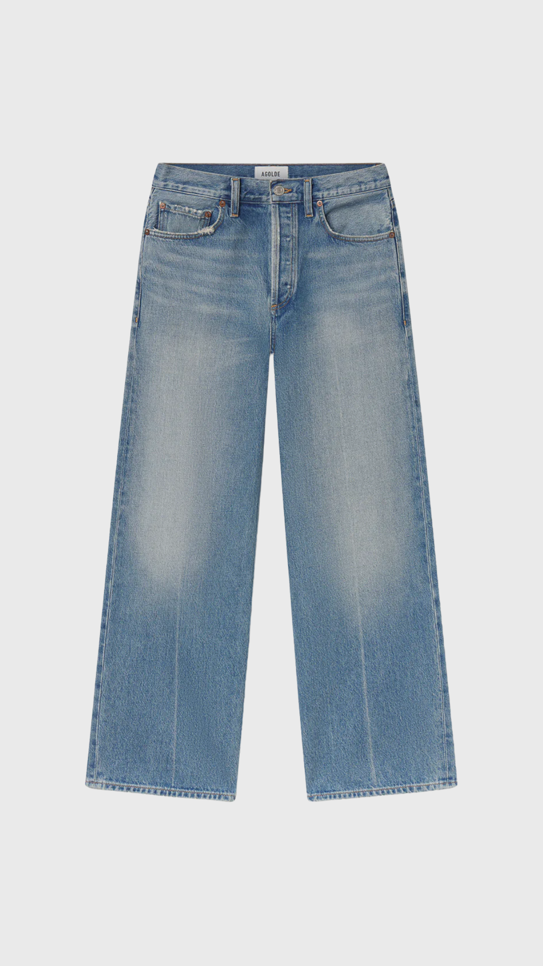 Agolde Arc Jean 29" in Brink