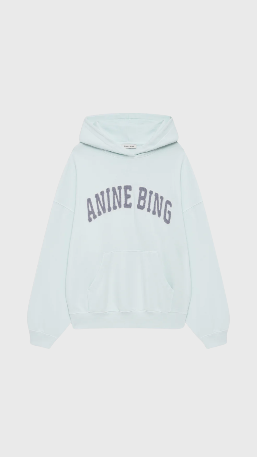 Anine Bing Harvey Sweatshirt in Spring Mint