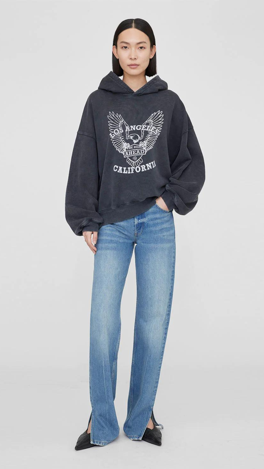 Anine Bing Alec Hoodie With Eagle