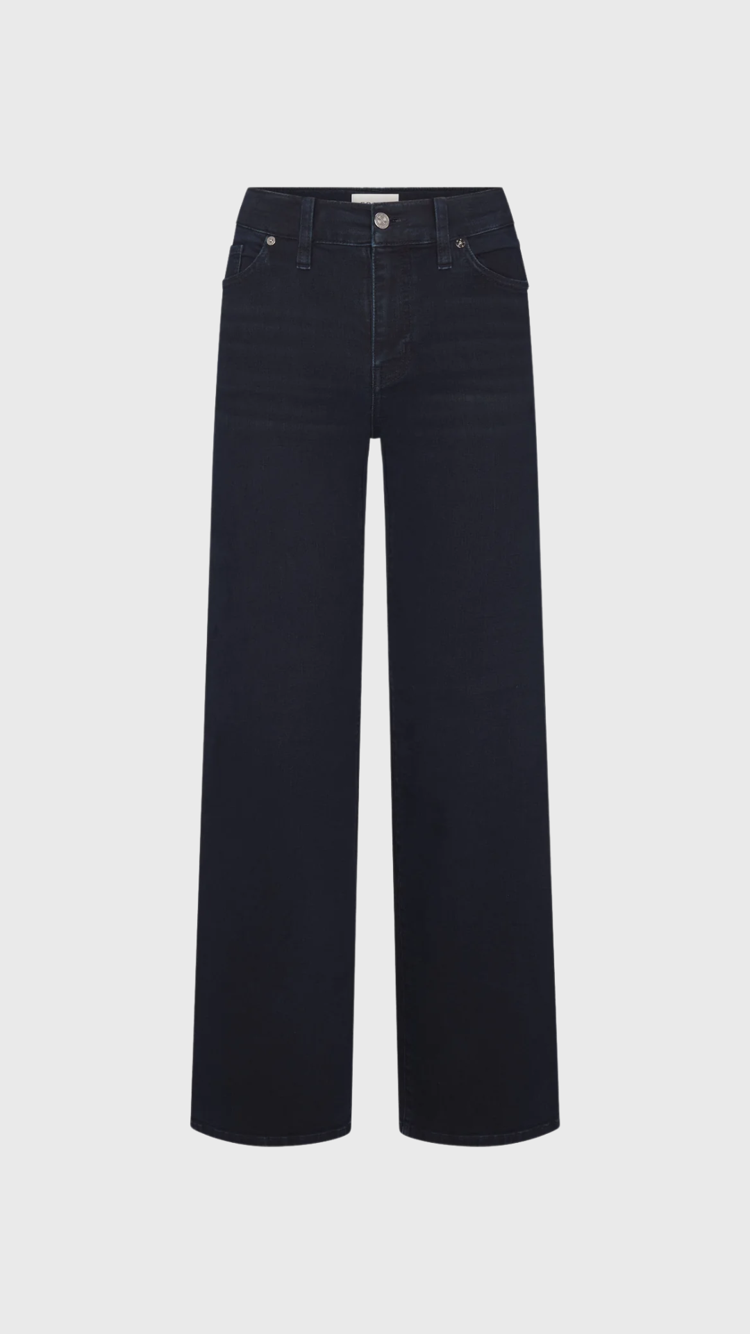 Frame Le Slim Palazzo Jean in Century