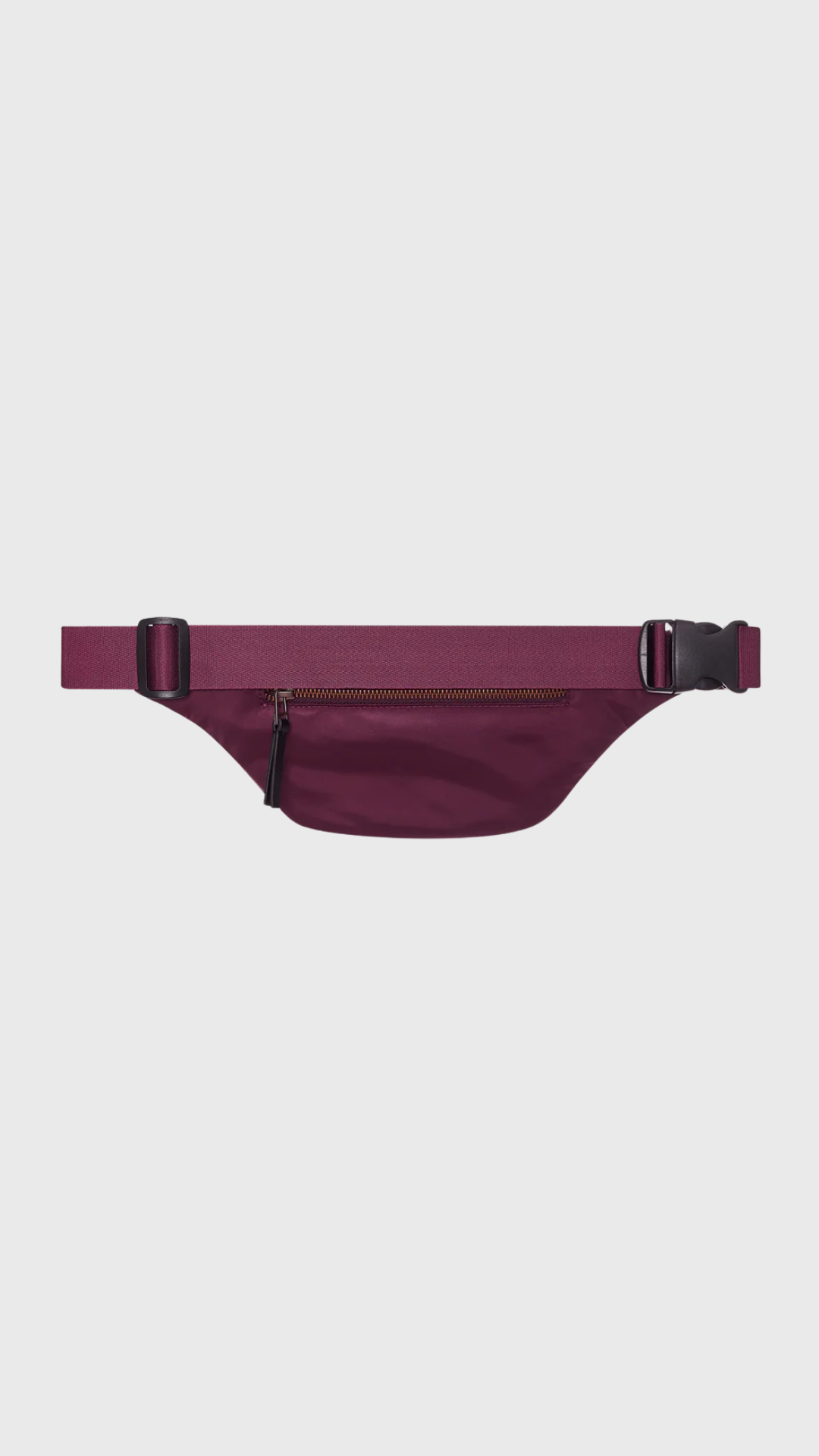 Anine Bing Leon Small Waist Bag Nylon in Fig