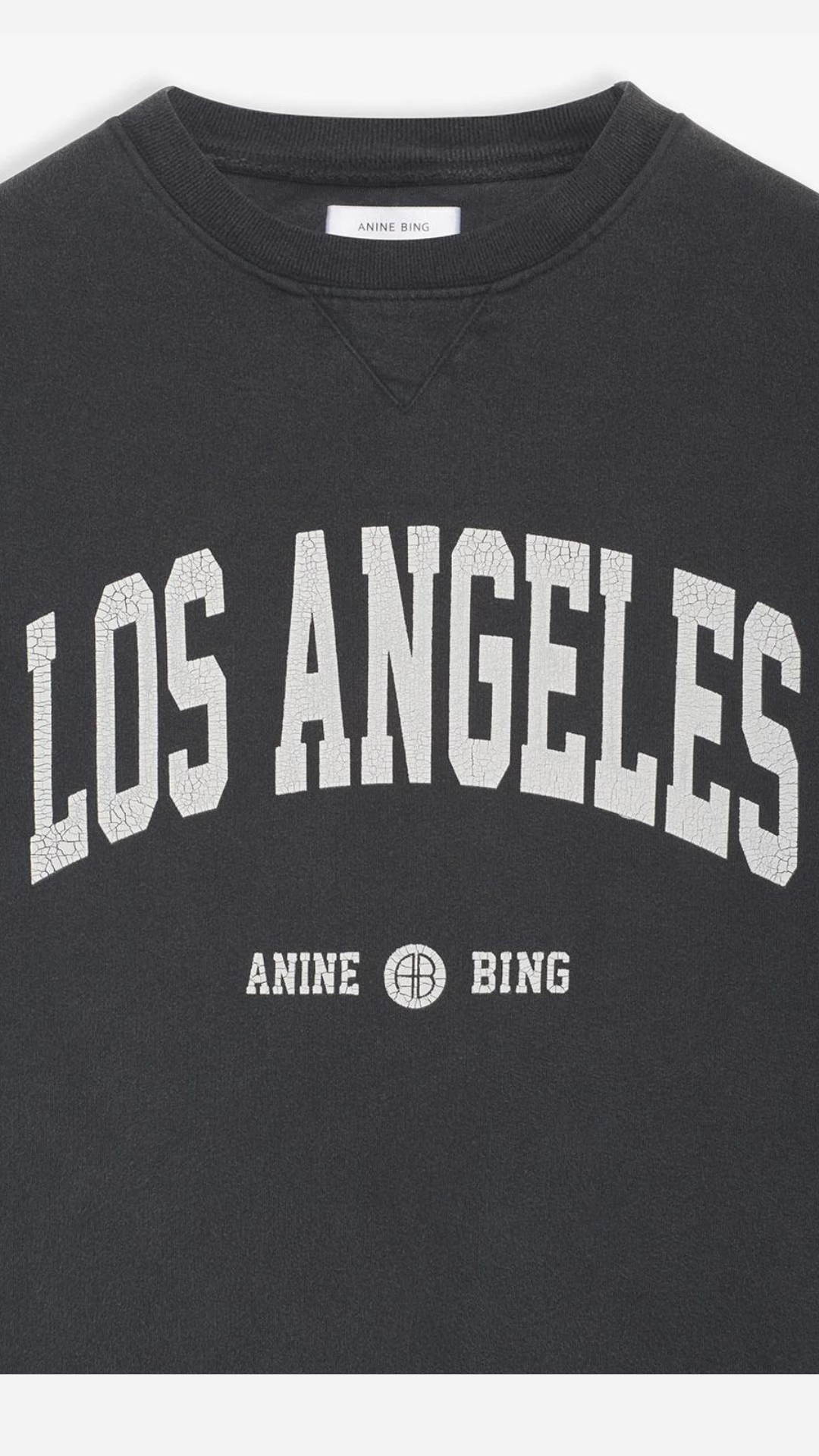 Anine Bing Ramona LA Sweatshirt