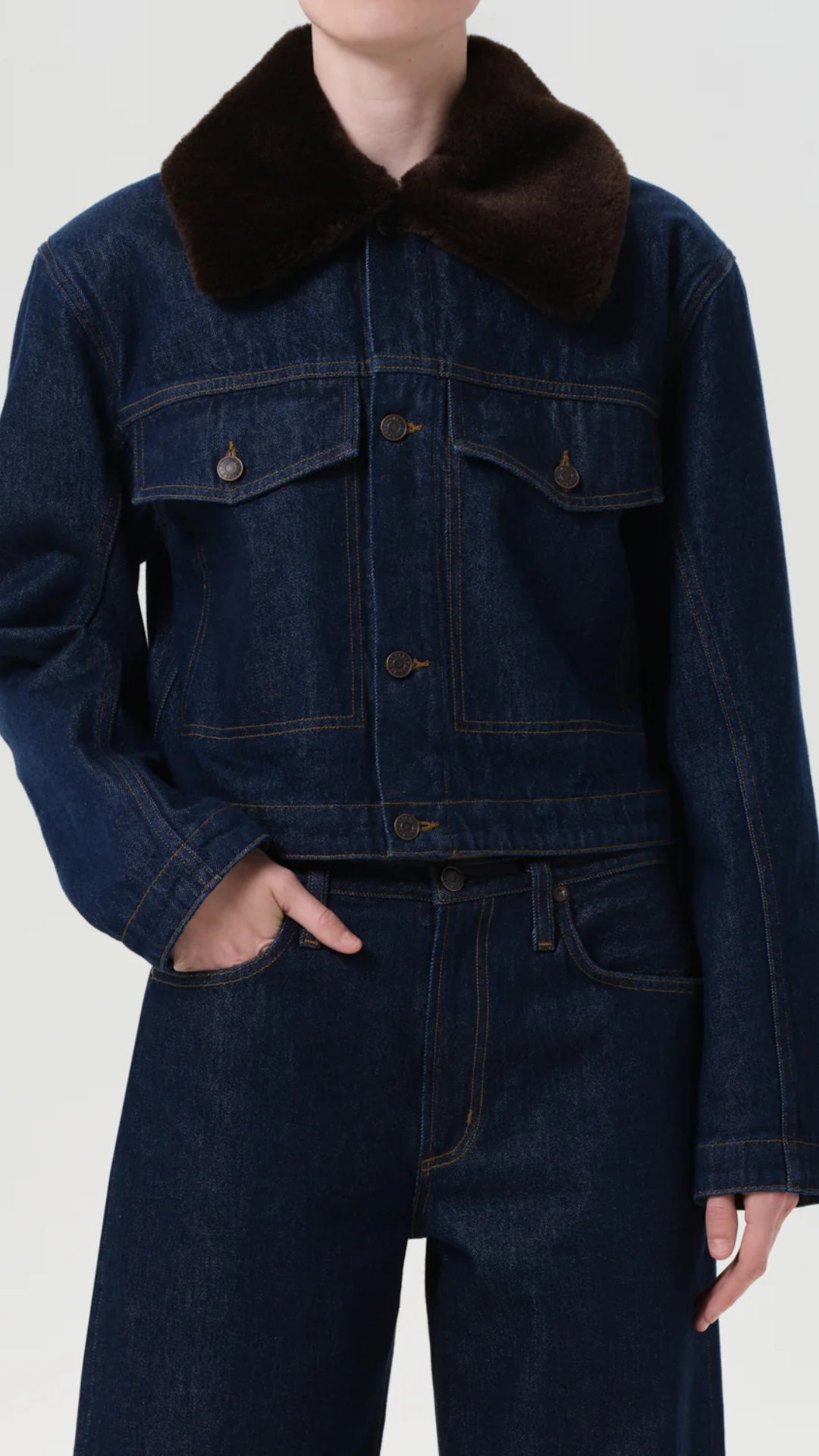 Agolde Walker Jacker in Rinse