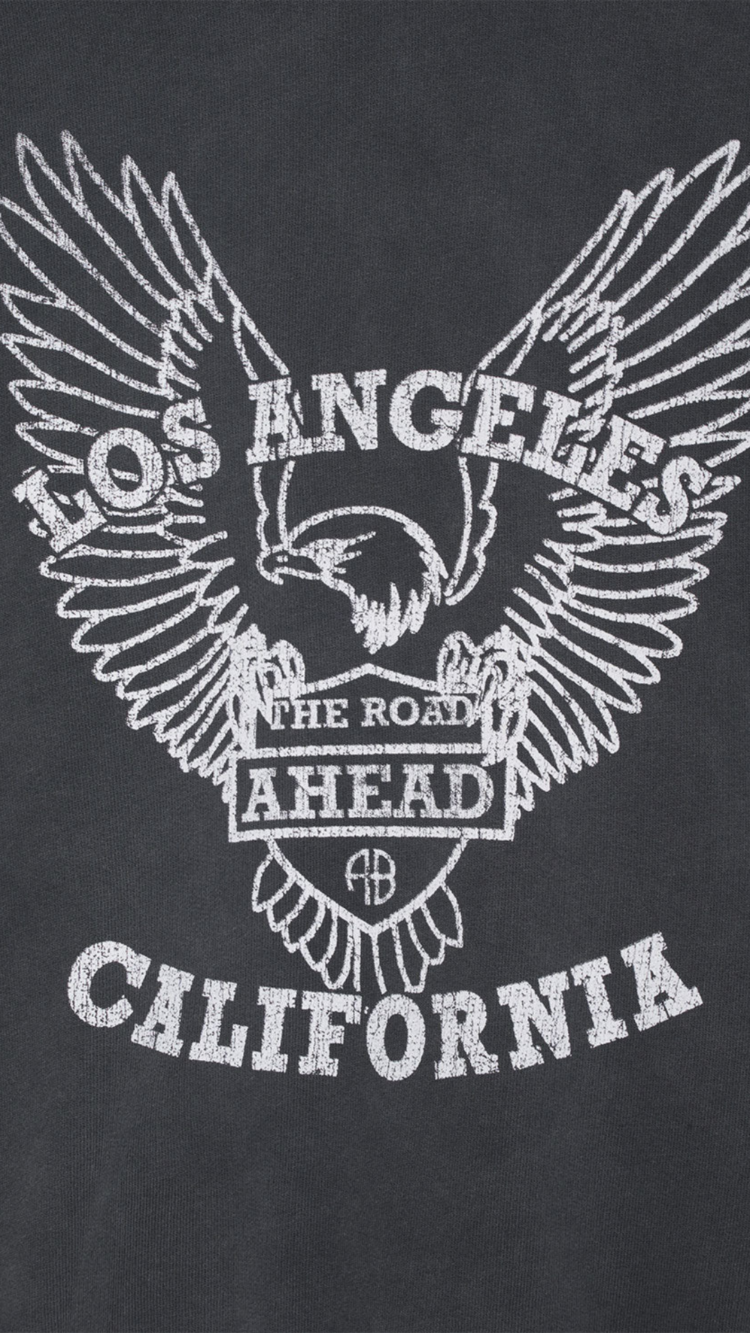 Anine Bing Alec Hoodie With Eagle