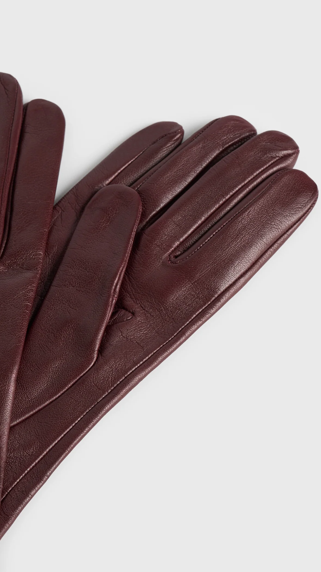 Toteme Leather Gloves
