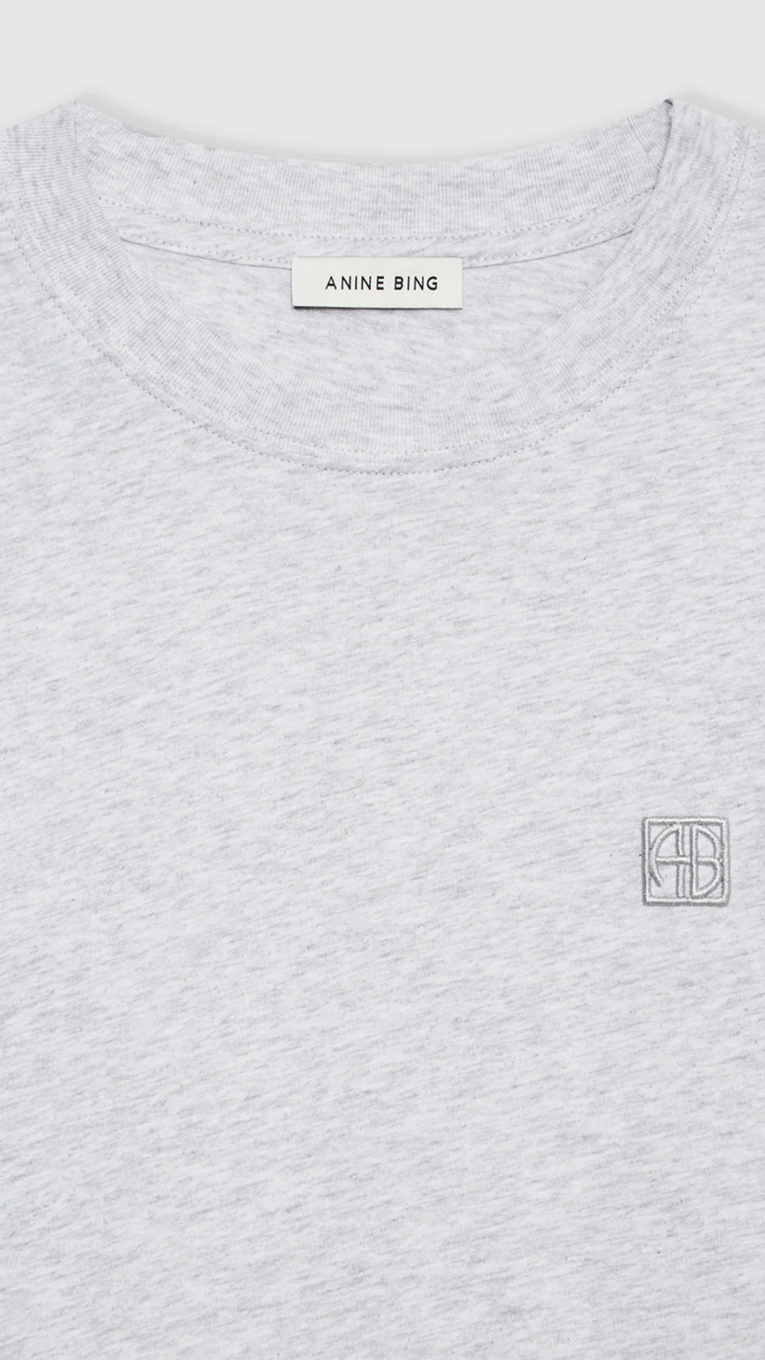 Anine Bing Lili Framed Monogram Tee in Grey