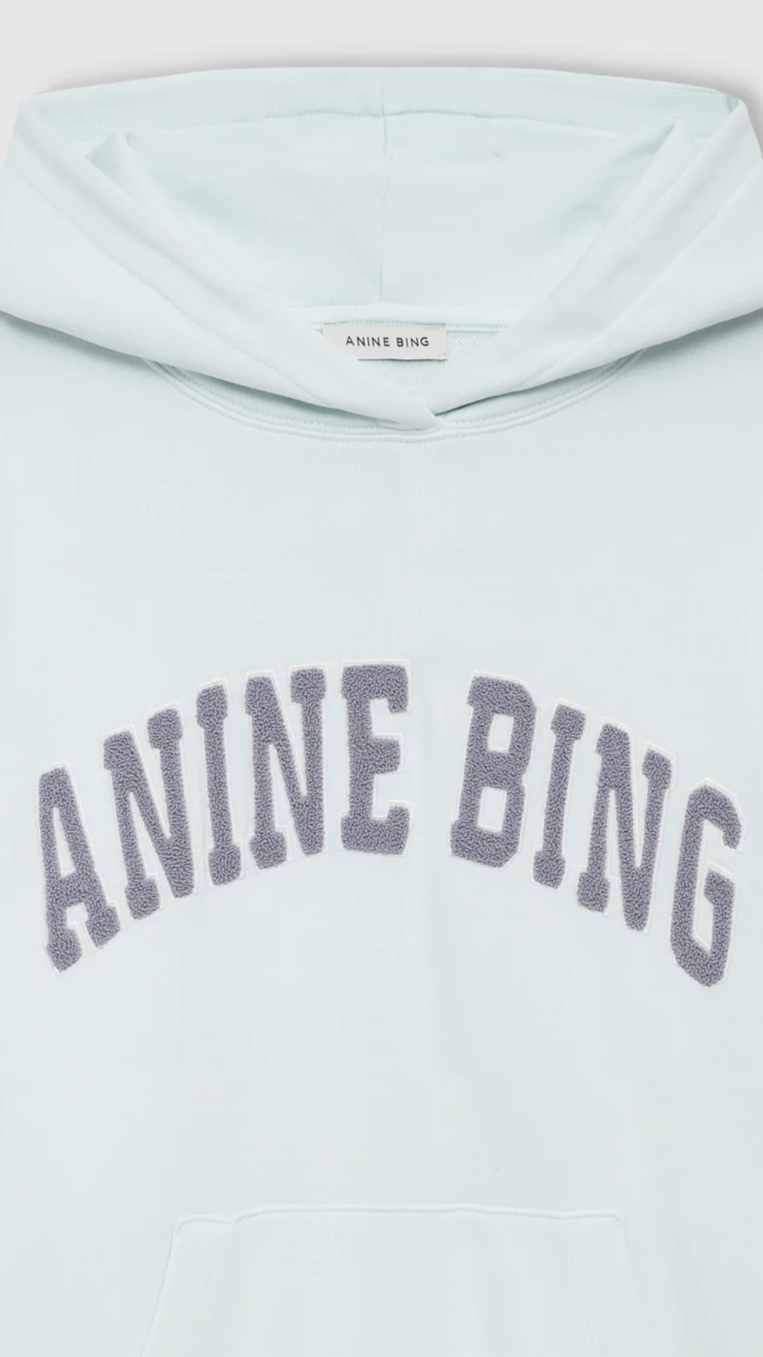 Anine Bing Harvey Sweatshirt in Spring Mint