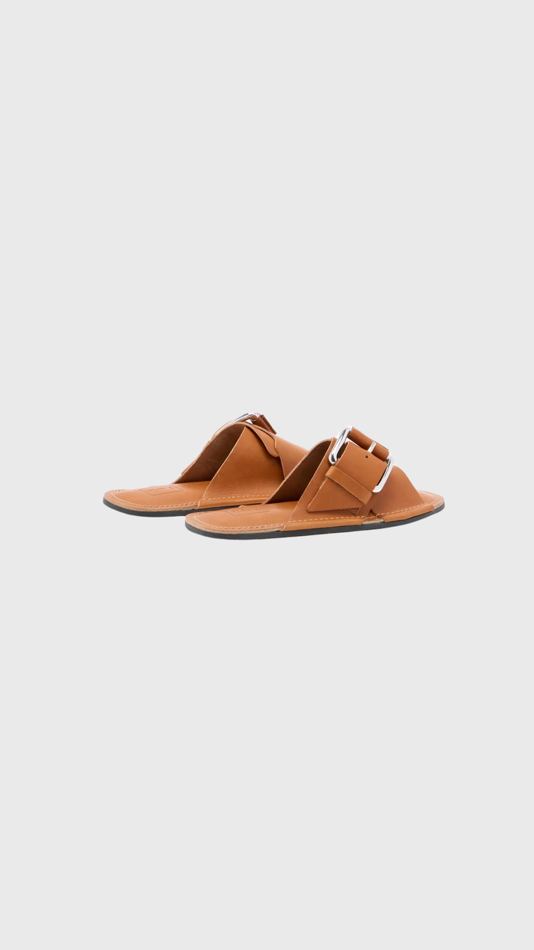 Plan C Flat Buckle Sandal in Tan