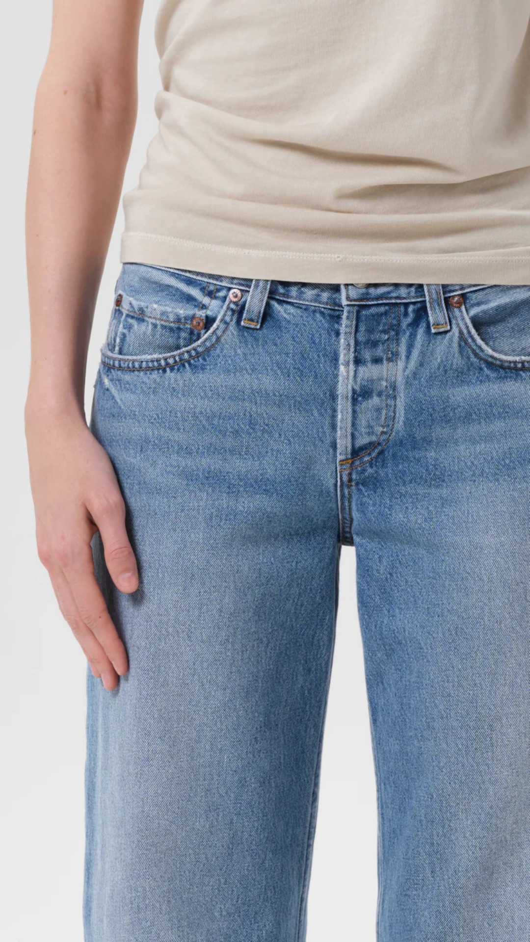 Agolde Low Rise Loose Jean in Vault