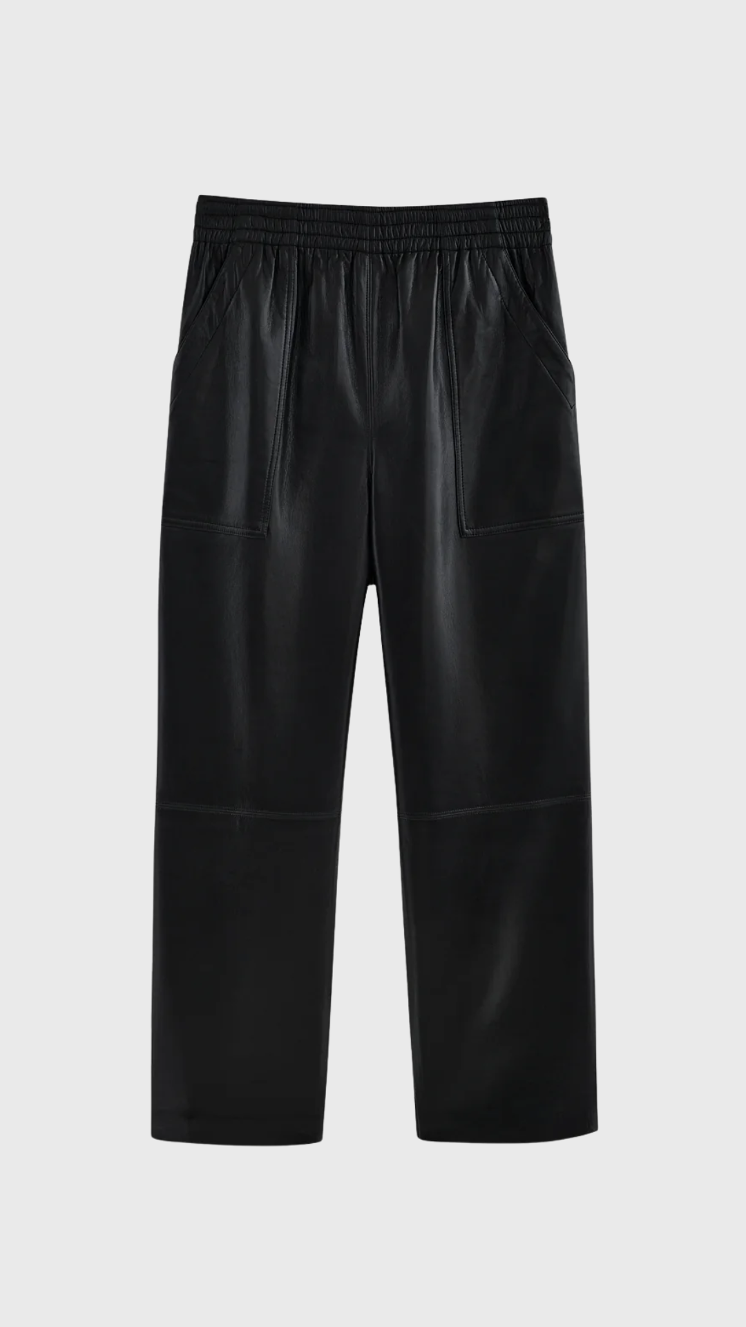 Anine Bing Billy Recycled Leather Pant in Black