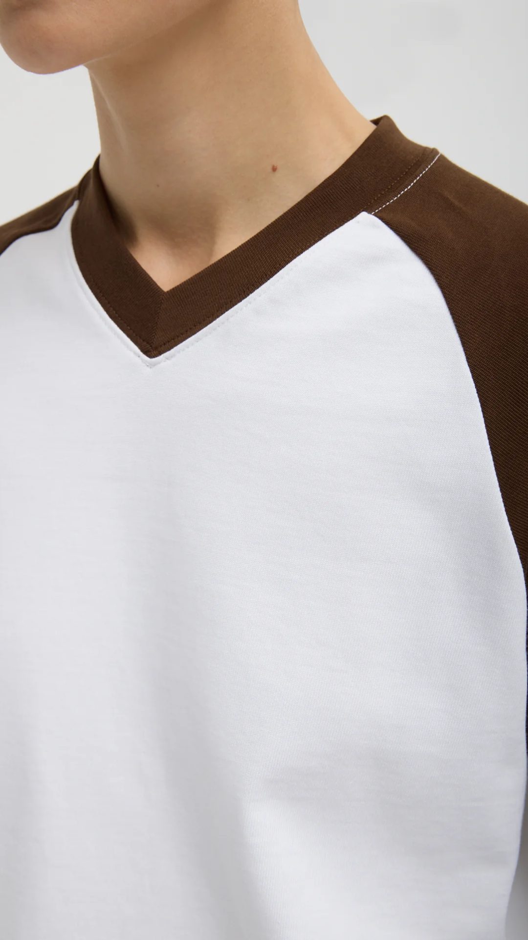 Tibi Perfect T-Shirt Vintage Sweatshirt in Brown Multi