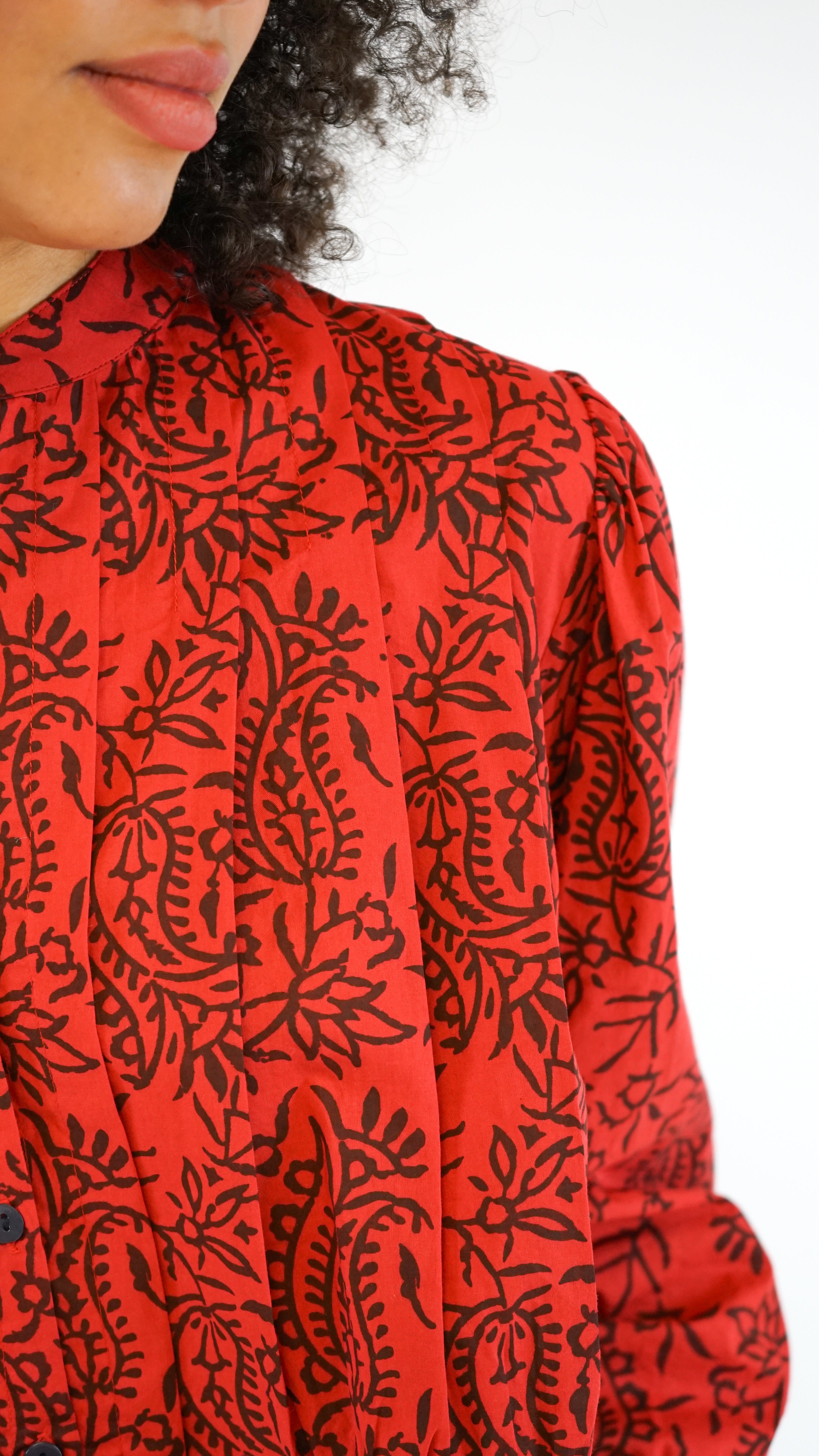 Alix of Bohemia Ryland Paisley Spice Shirt