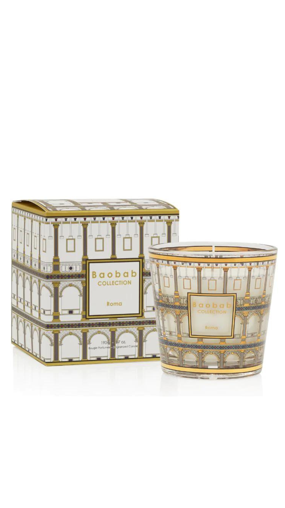 My First Baobab Roma Candle