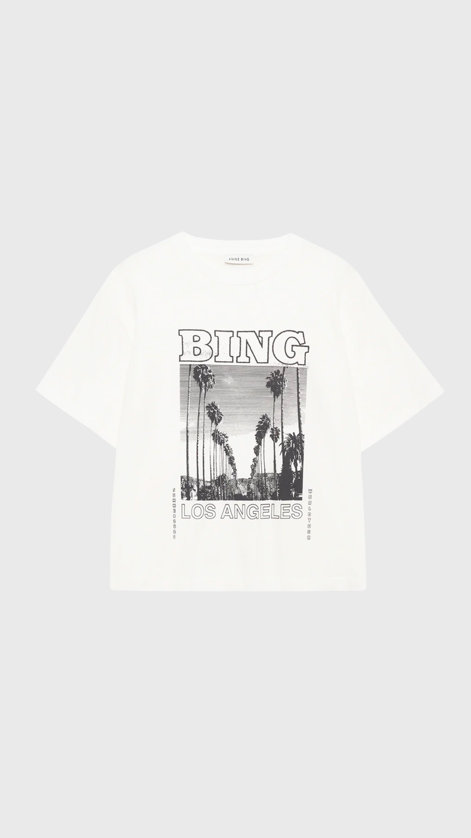 Anine Bing Louis Tee Bing Tour in Ivory