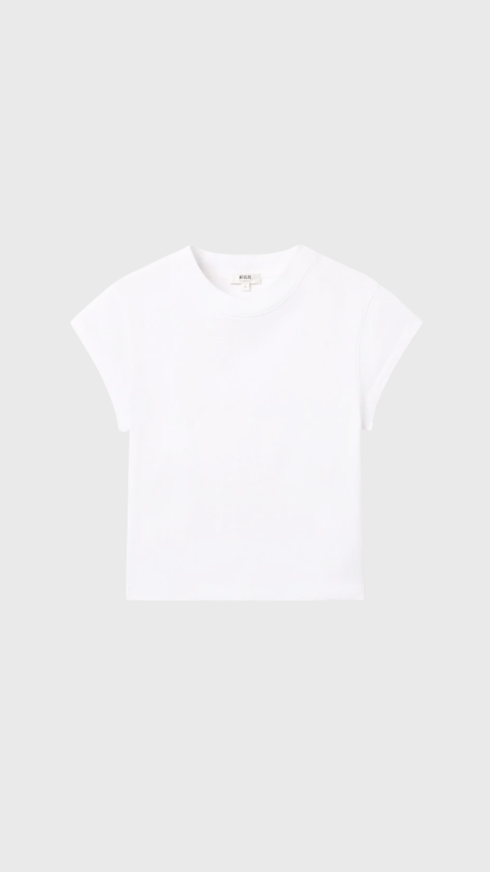 Agolde Bryce Cap Sleeve Tee