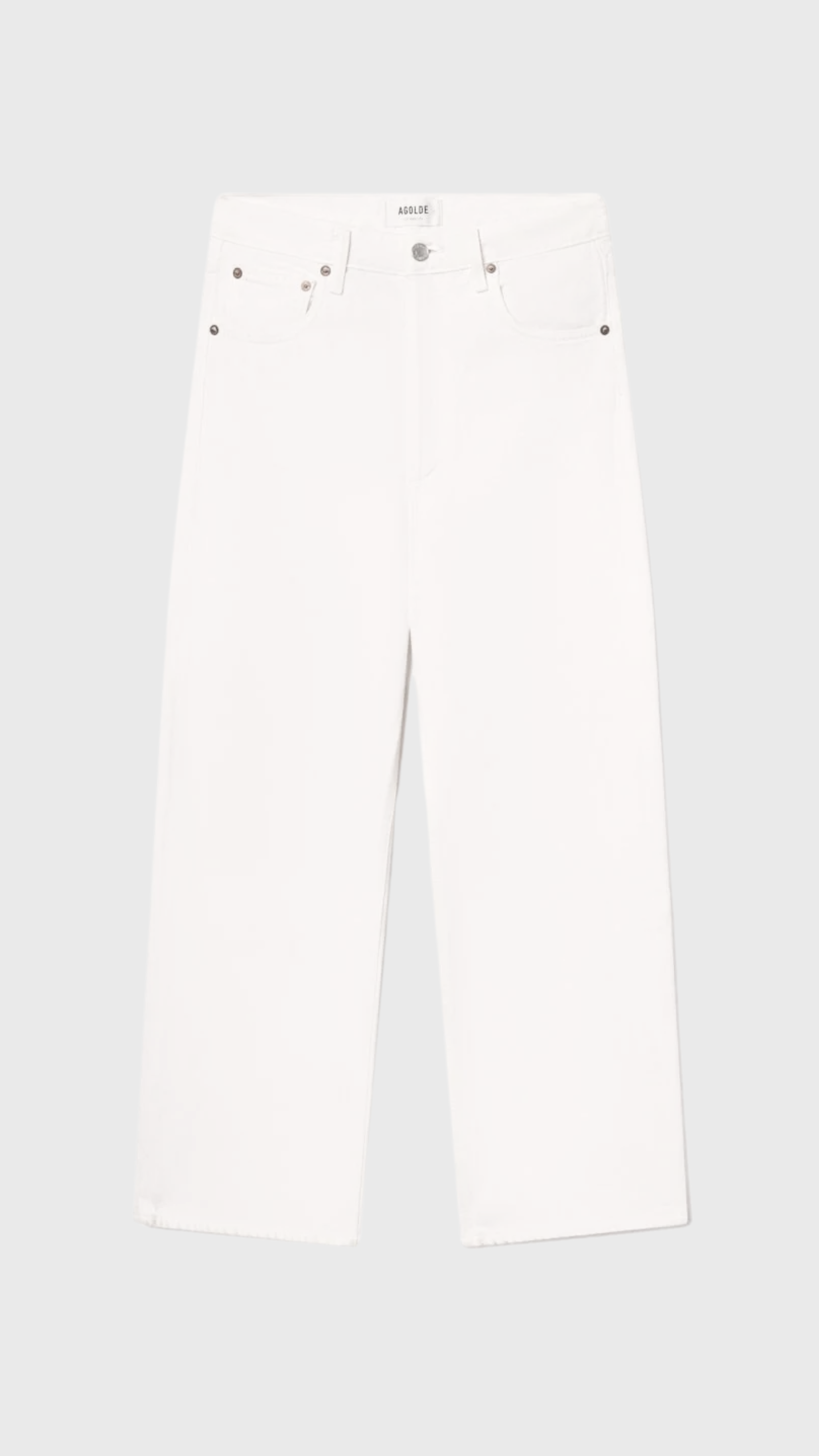 Agolde Ren Jean in Fortune