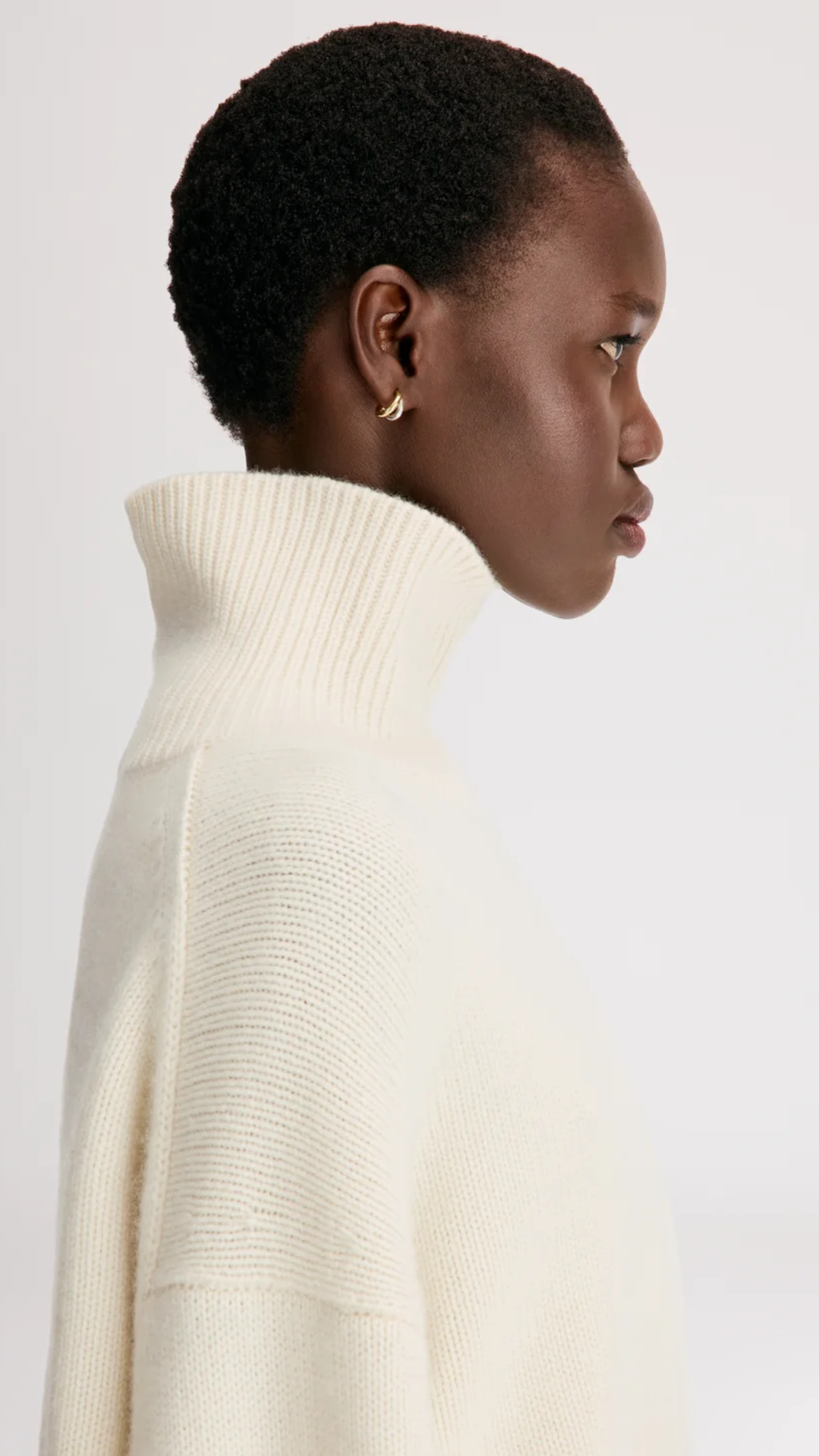 Loulou de Saison Jonah Turtleneck Sweater