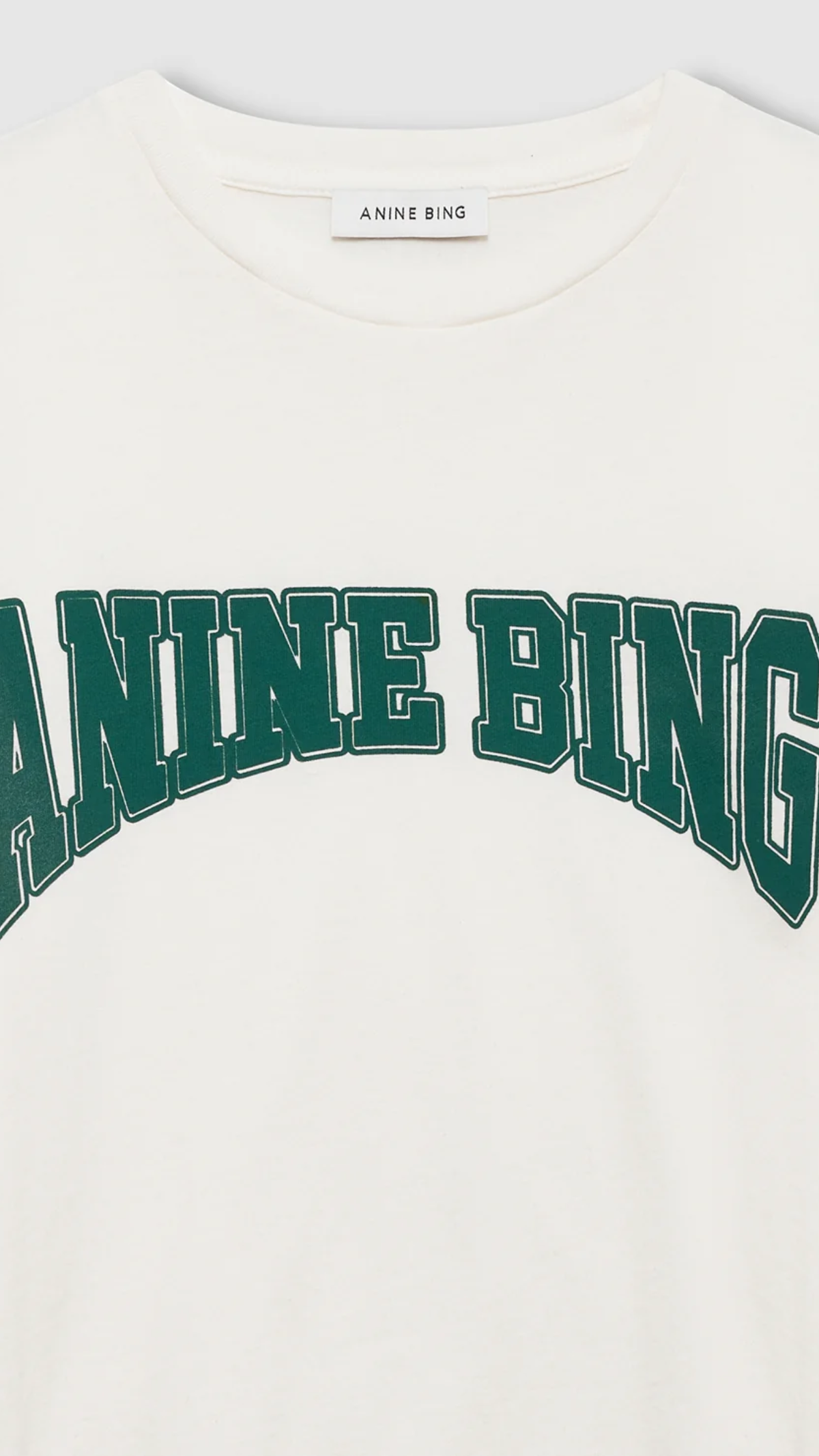 Anine Bing Shelley Tee in Ecru Green