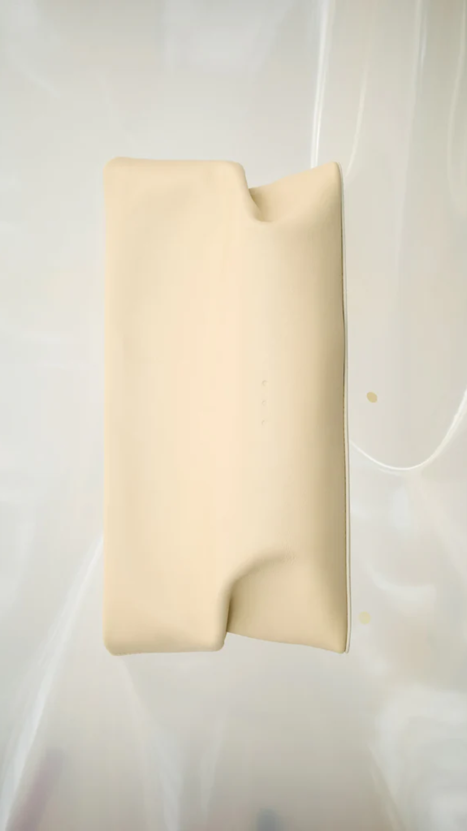 Aesther Ekme Nina Clutch