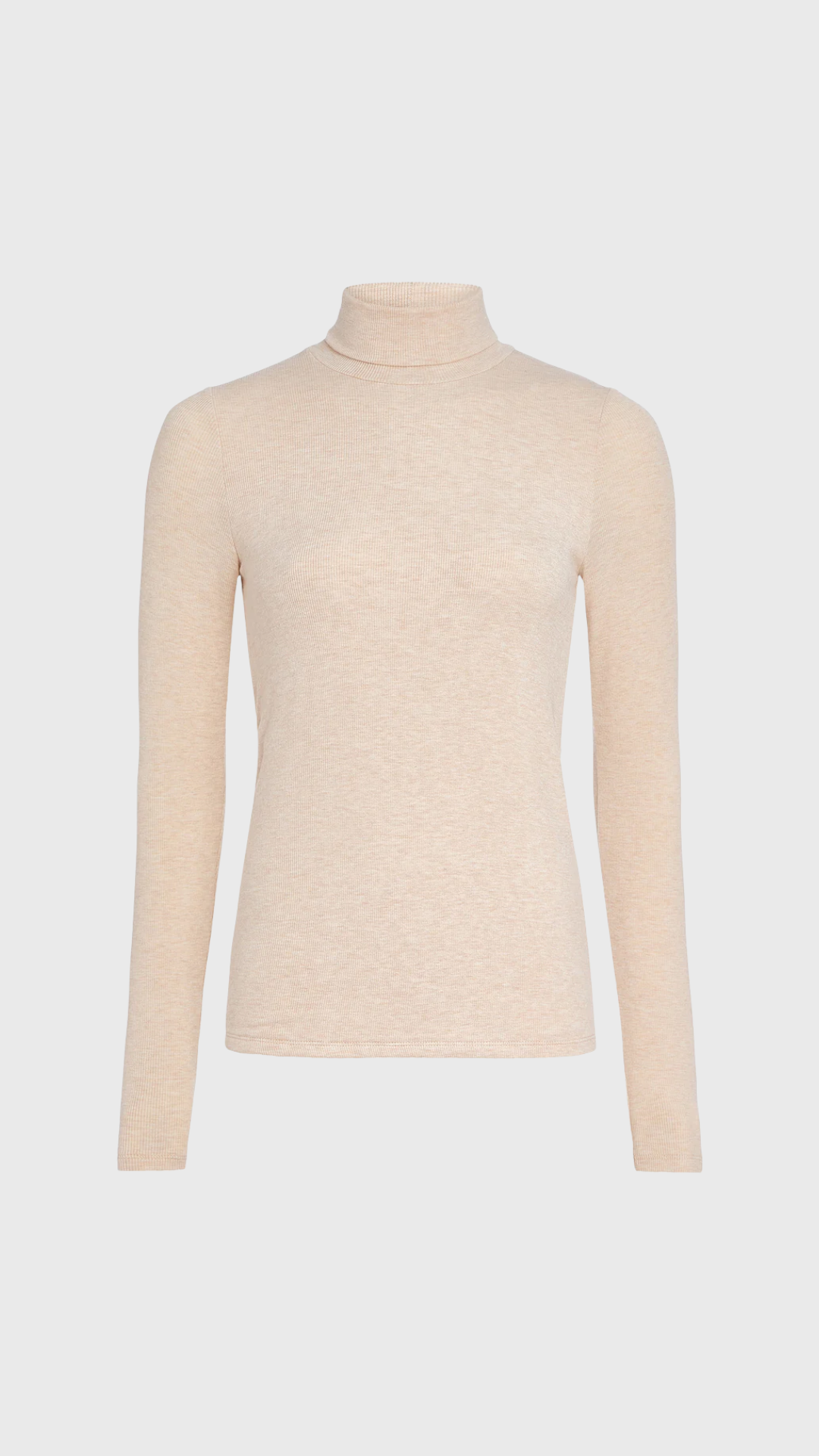 ATM Heathered Modal Rib Turtleneck in Wheat