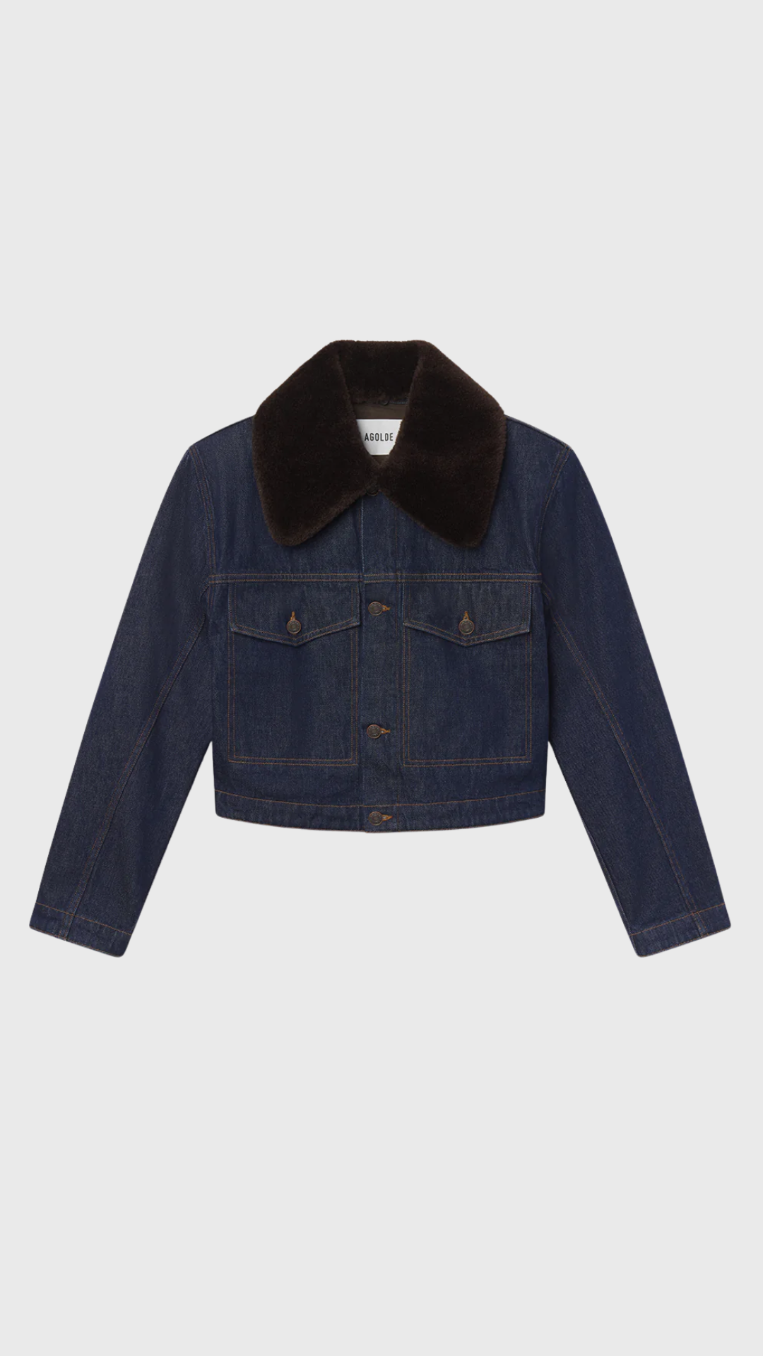 Agolde Walker Jacker in Rinse