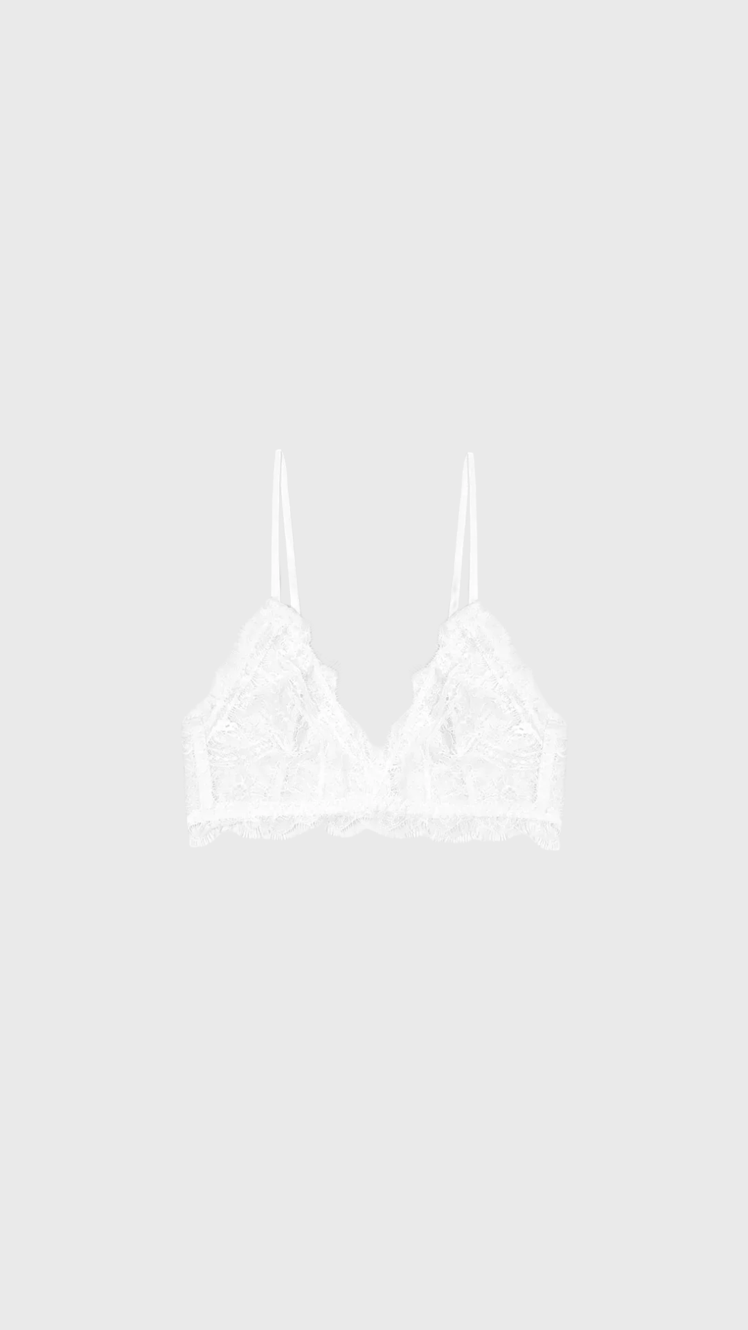 Anine Bing Lace Bra in Ivory