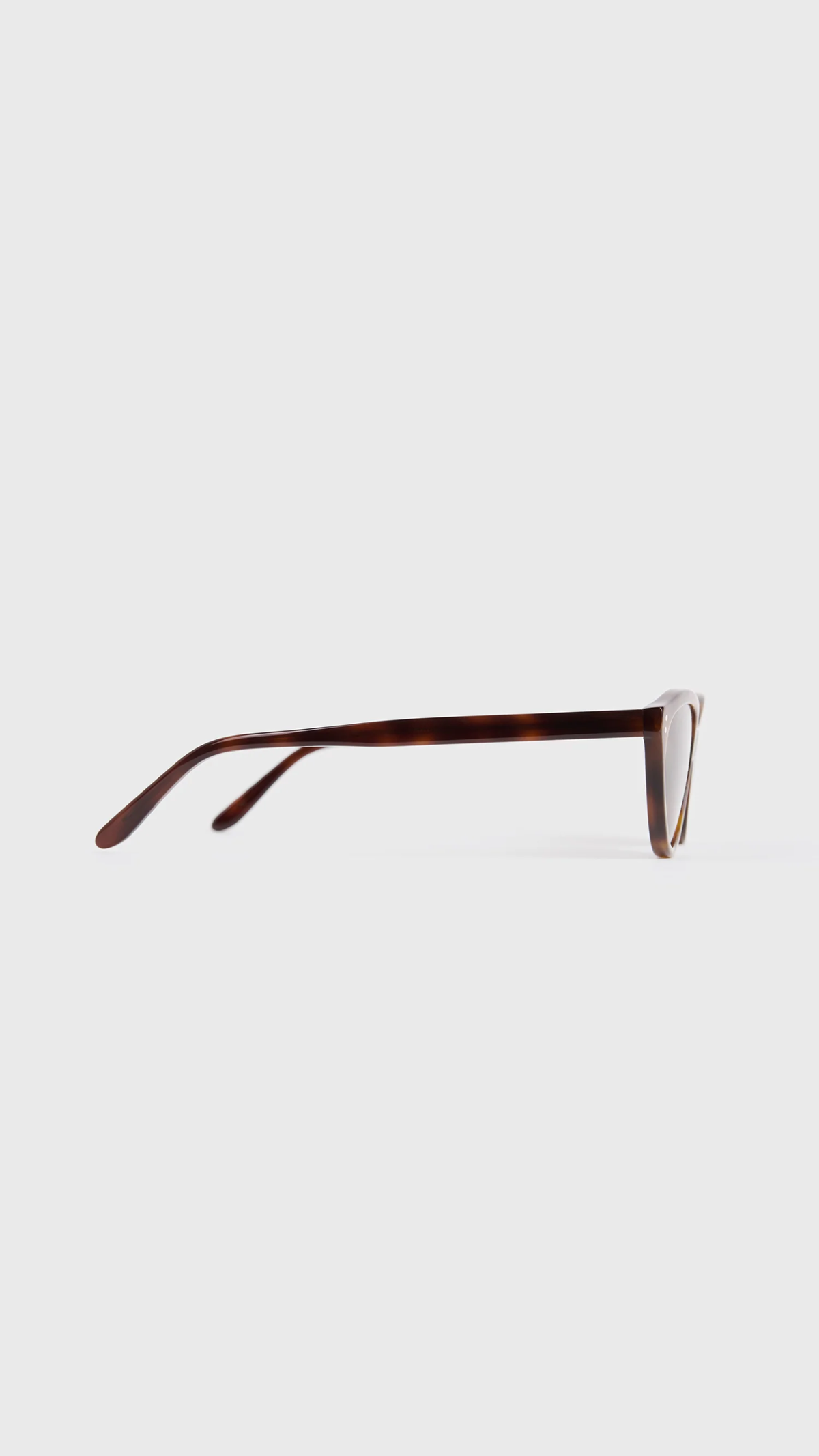 Toteme Cateye Sunglasses in Dark Havana