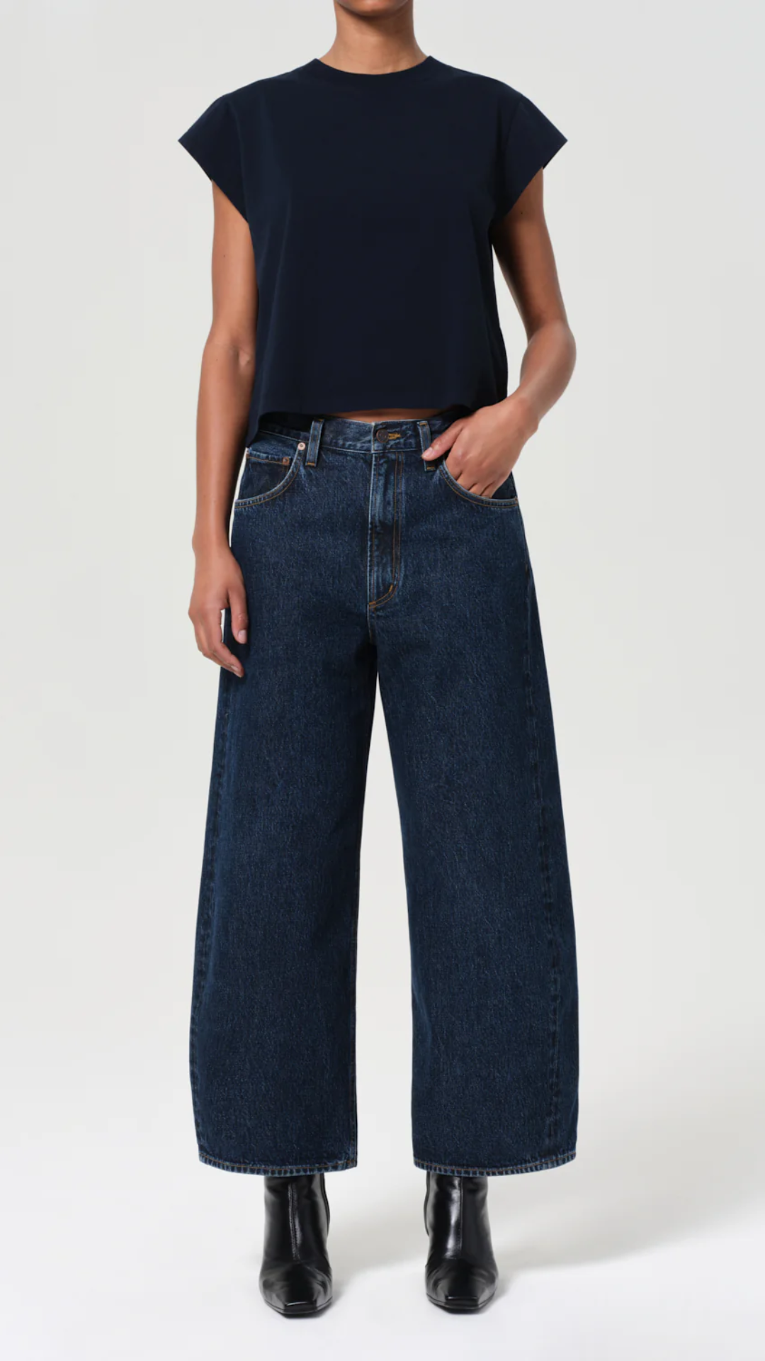 Agolde Low Curve Crop Jean In Pendulum