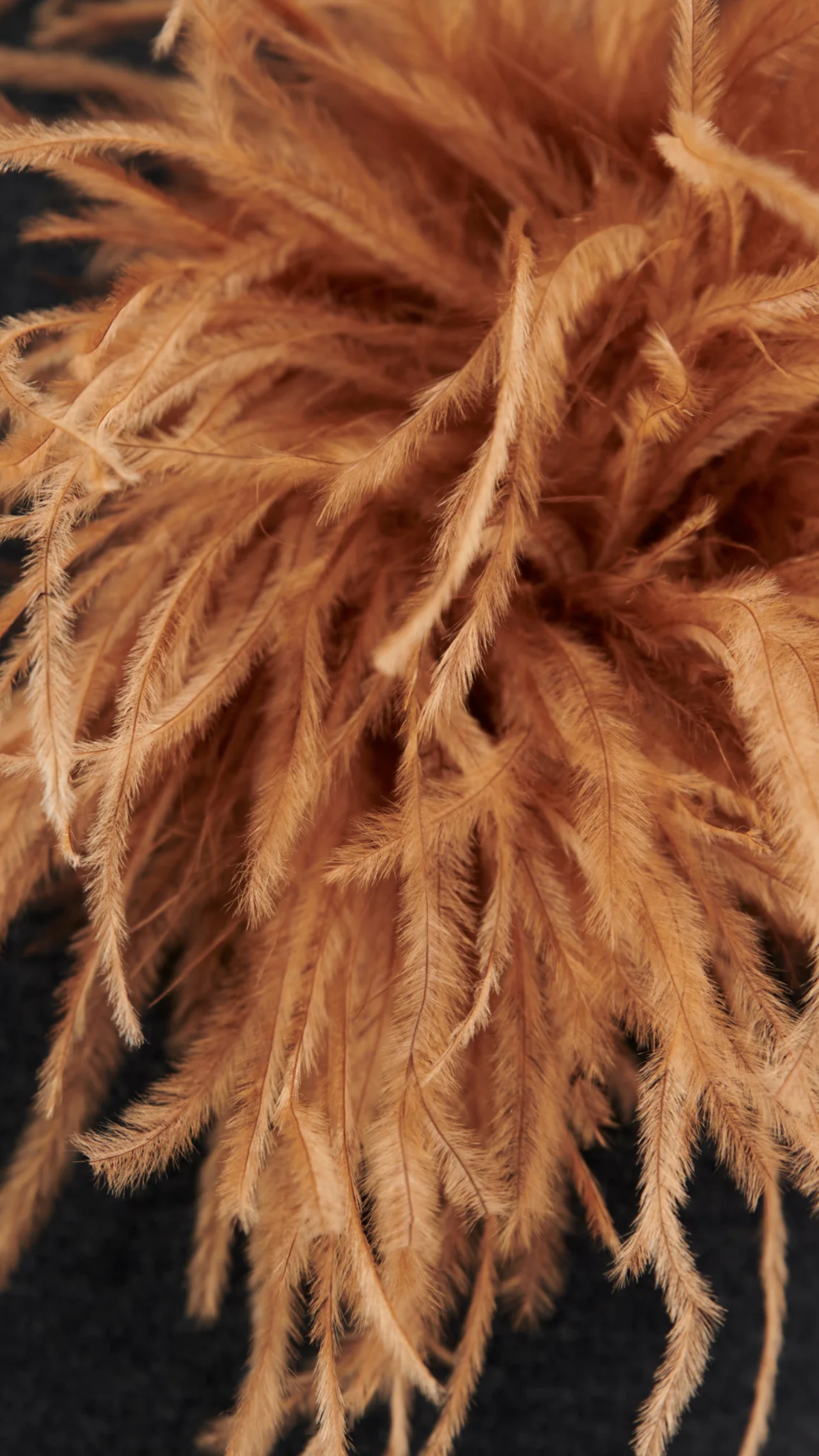 Odeeh Feather Brooch