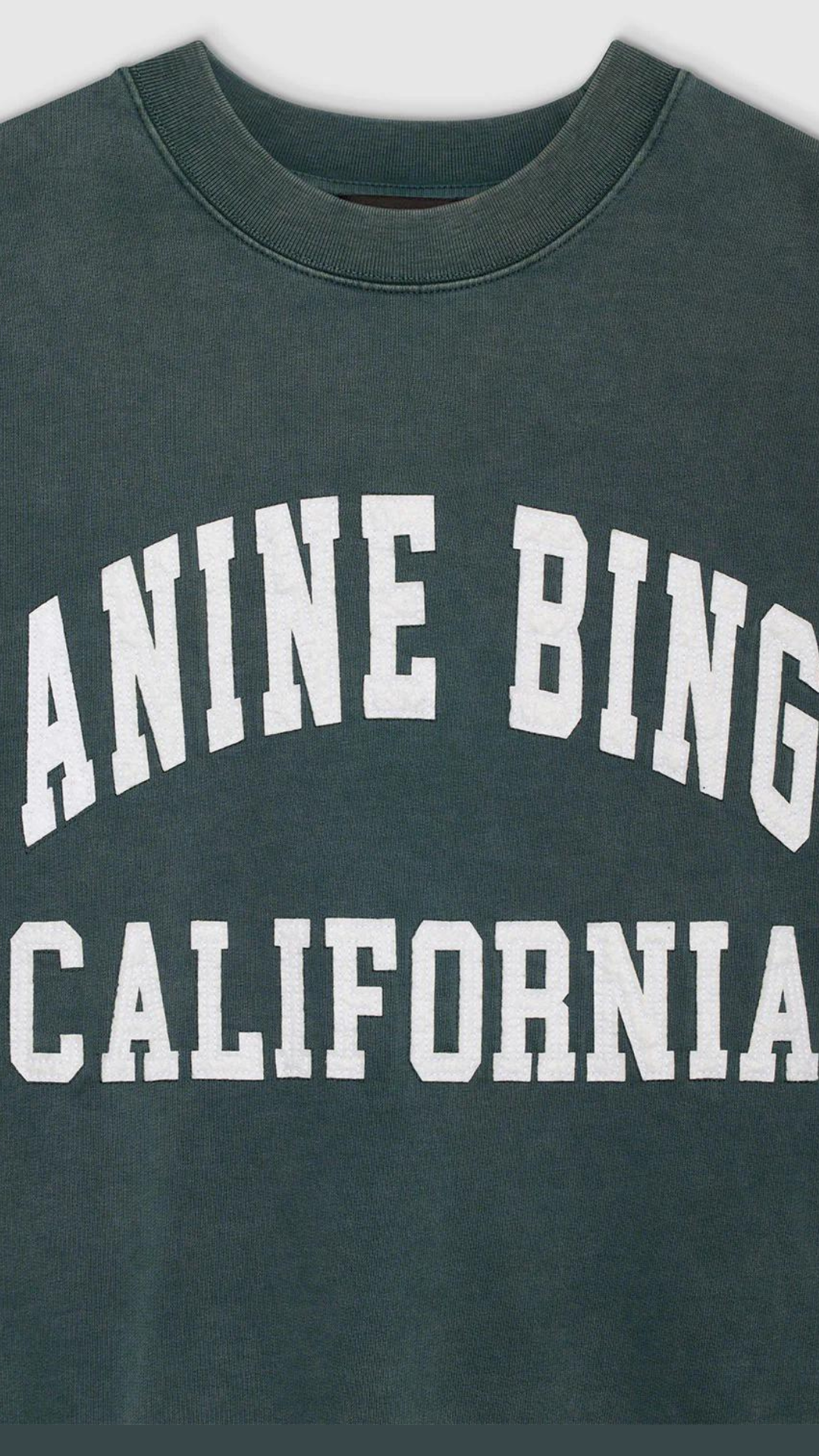 Anine Bing Miles Sweatshirt