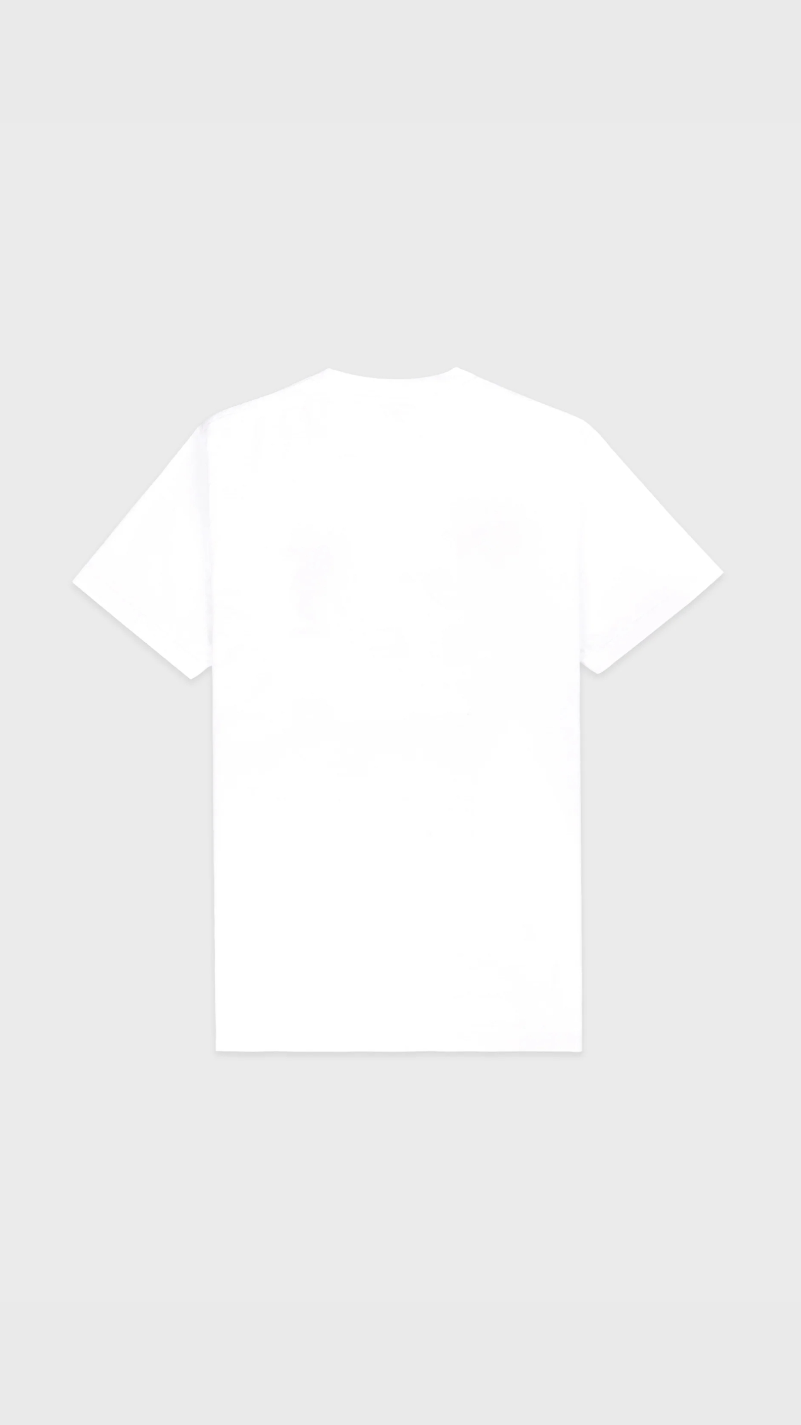 Sporty & Rich H&W Crest Tshirt in White/Navy