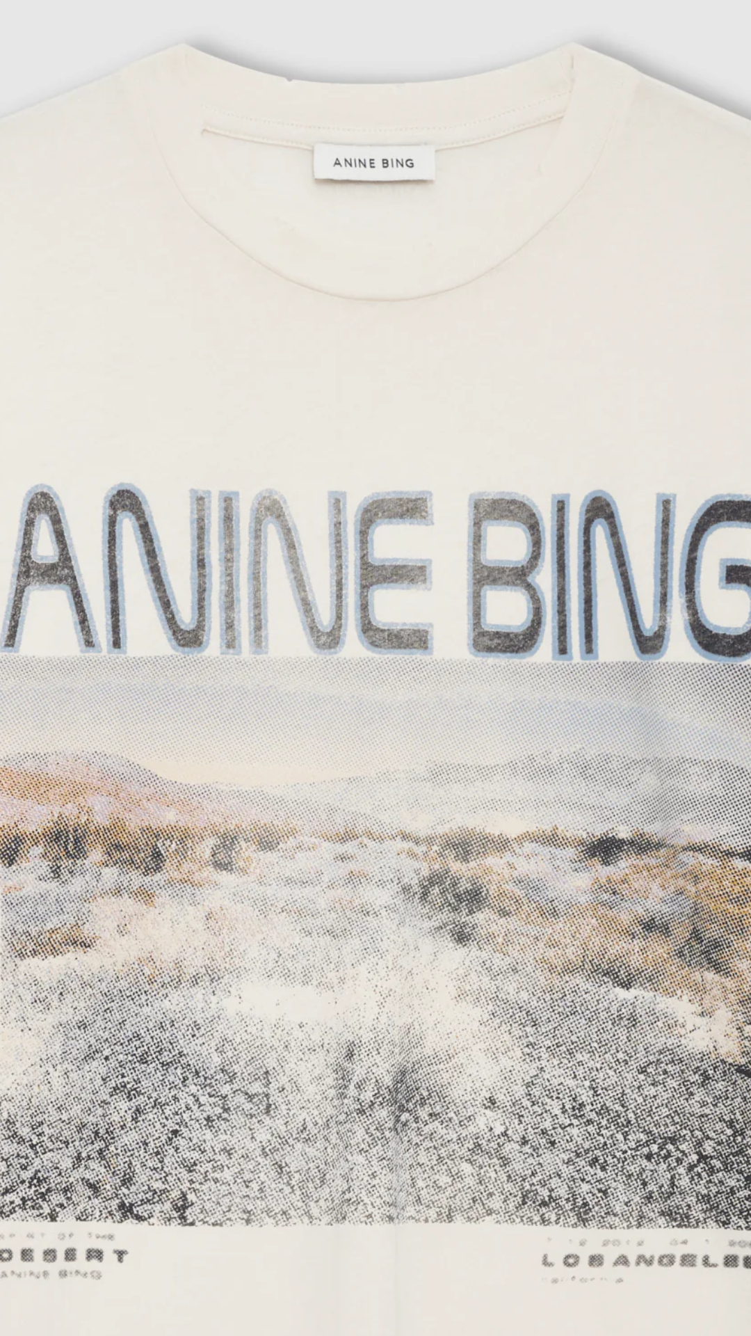 Anine Bing Cade Tee Wildflowers in Off White