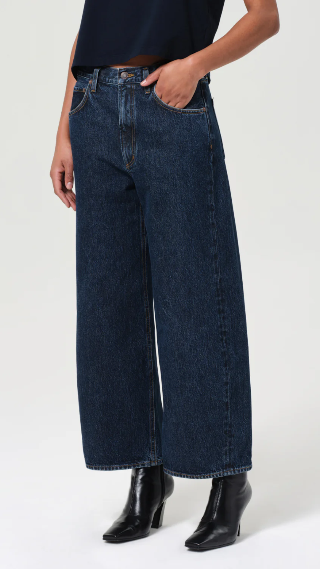 Agolde Low Curve Crop Jean In Pendulum