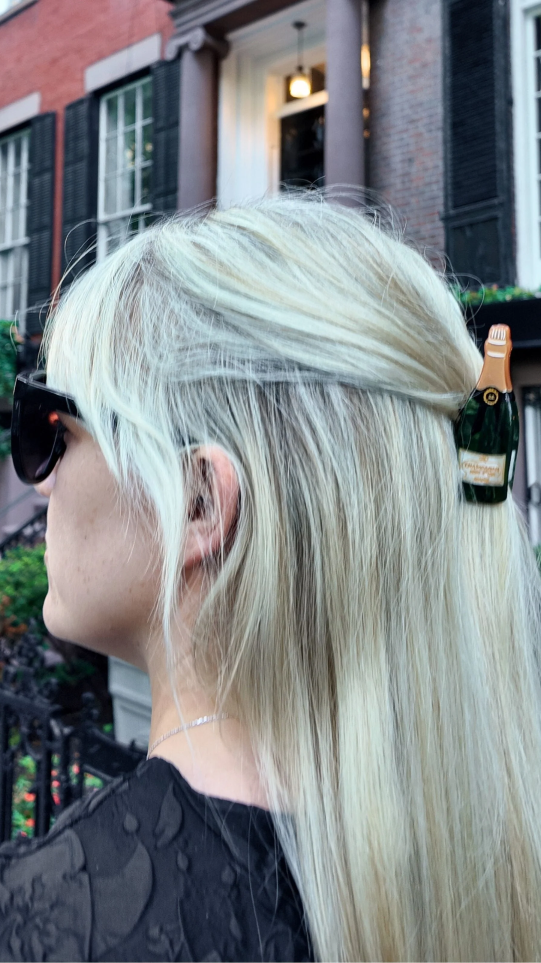 Solar Eclipse Champagne Hair Clip