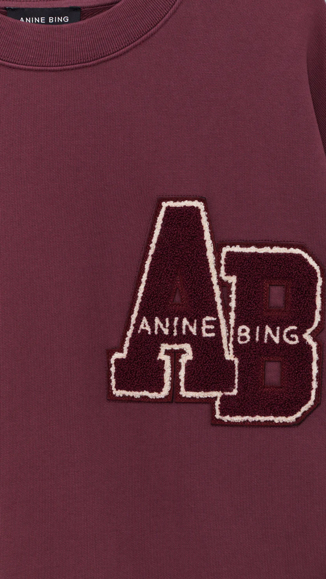 Anine Bing Miles Sweatshirt Letterman in Fig