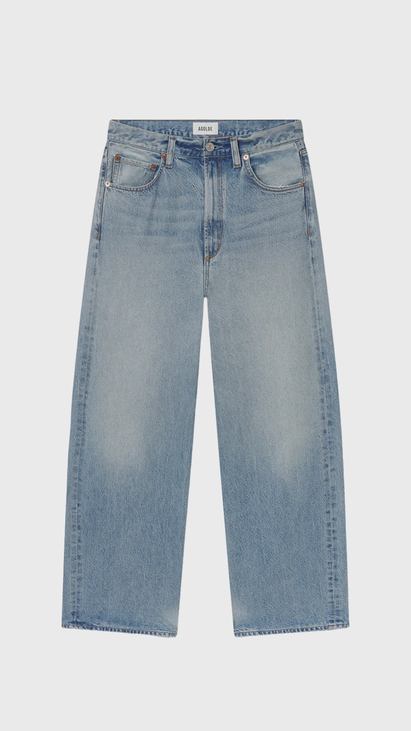 Agolde Low Curve Flyweight Jean in Reset