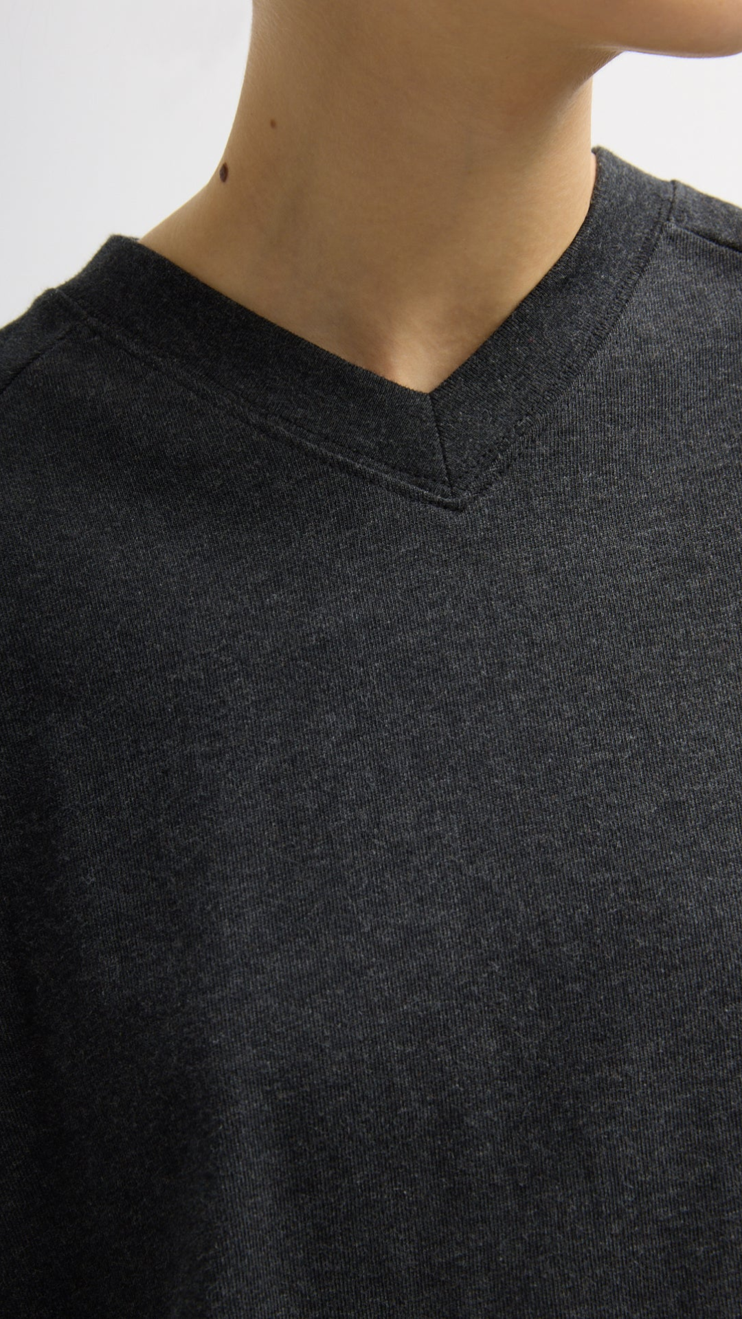 Tibi Perfect T-Shirt Vintage Sweatshirt