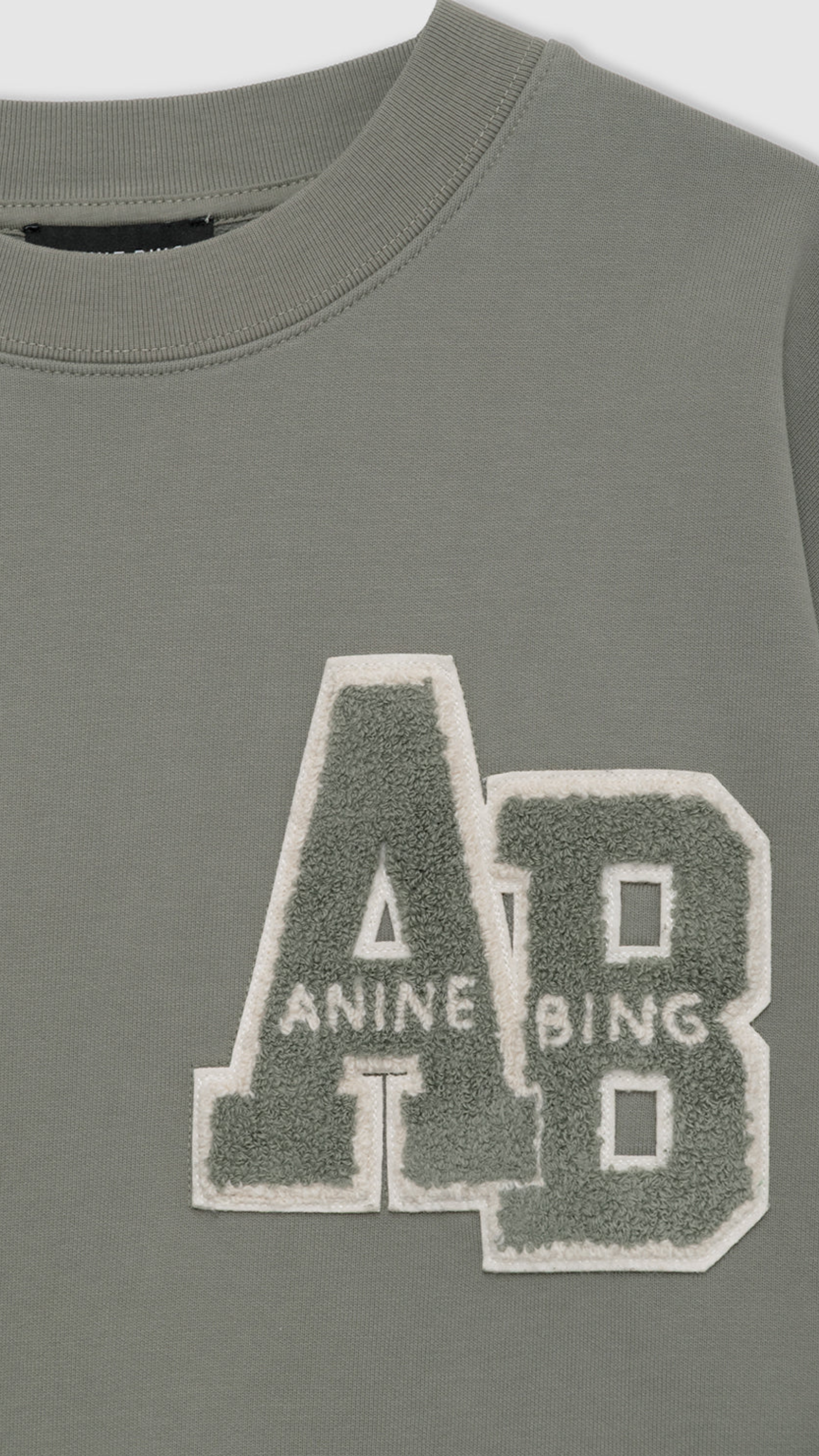 Anine Bing Miles Letterman Sweatshirt in Sage