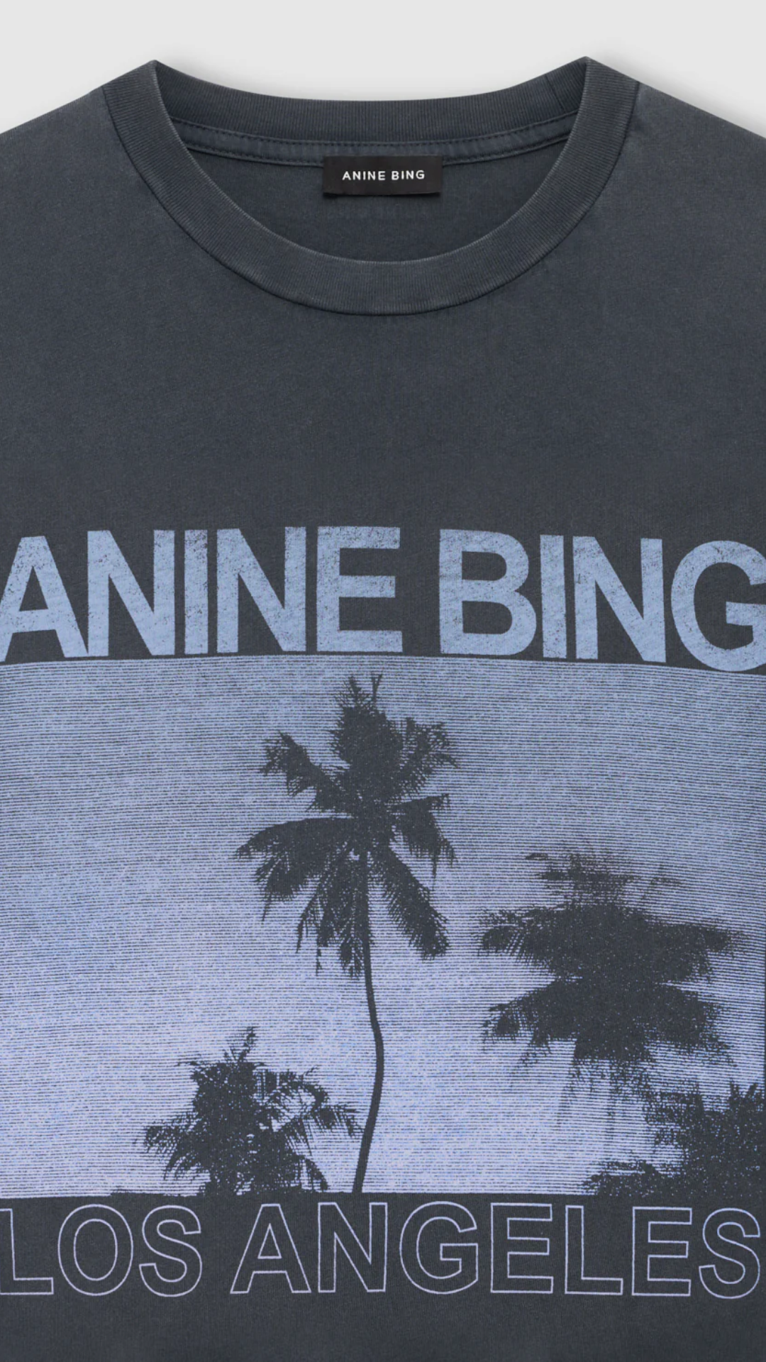 Anine Bing Cade Tee Palms in Washed Black