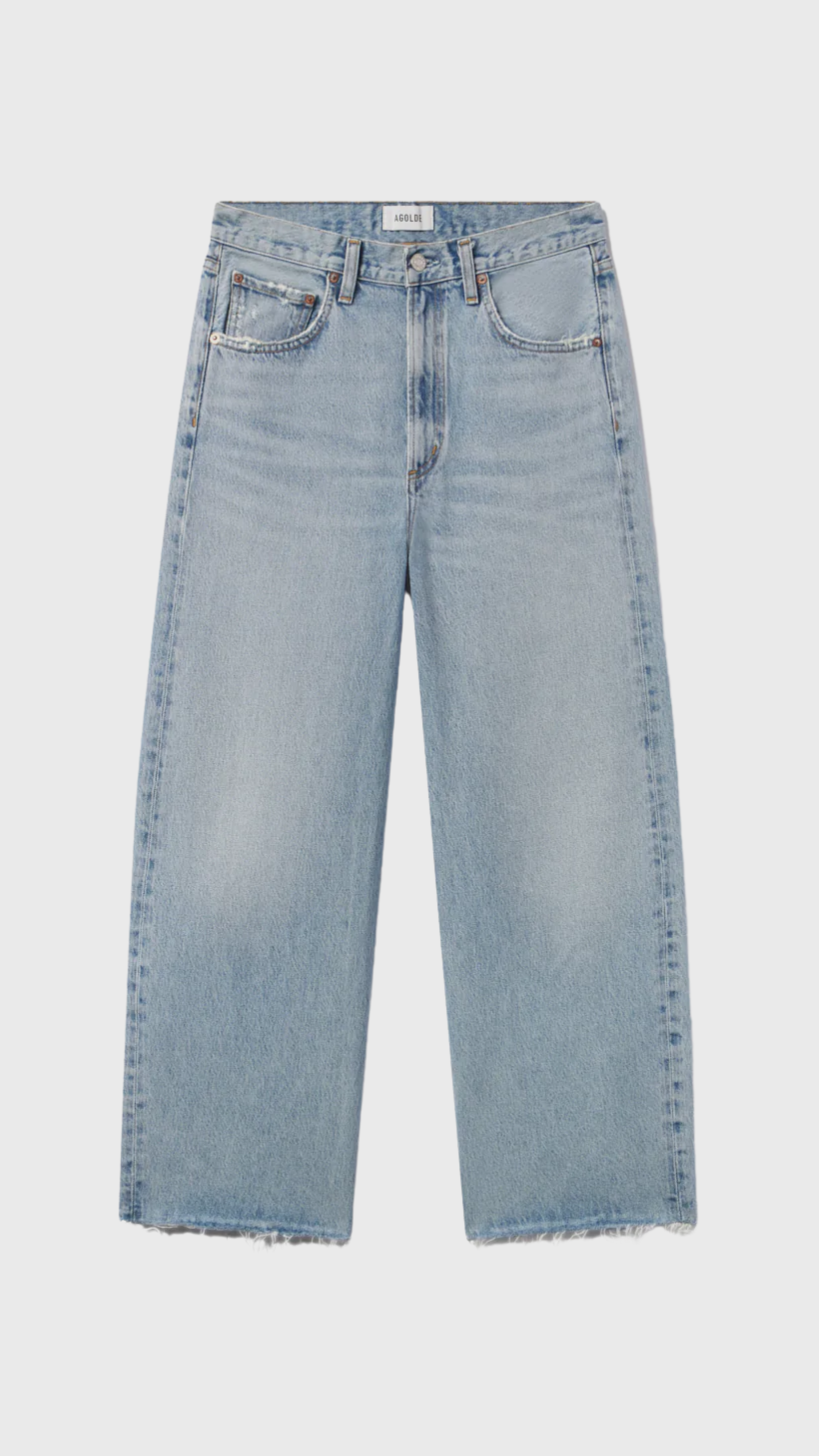 Agolde Low Curve Fray Jean in Force