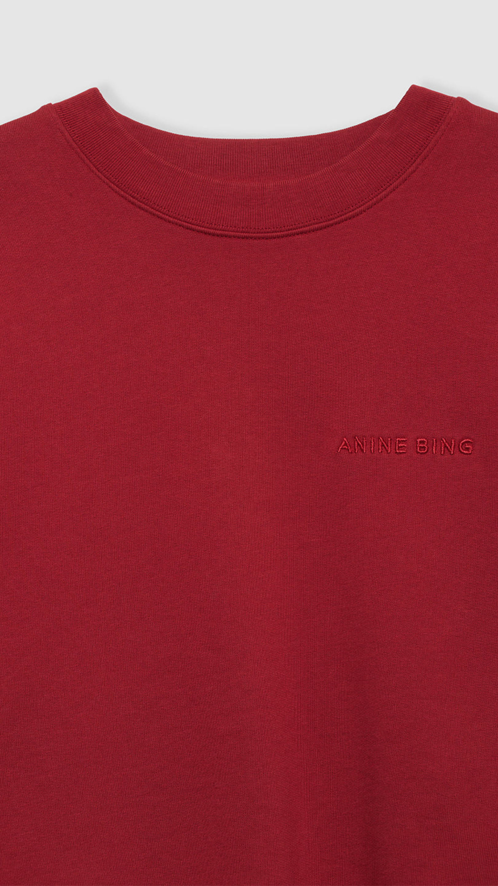 Anine Bing Miles Sweatshirt in Washed Red