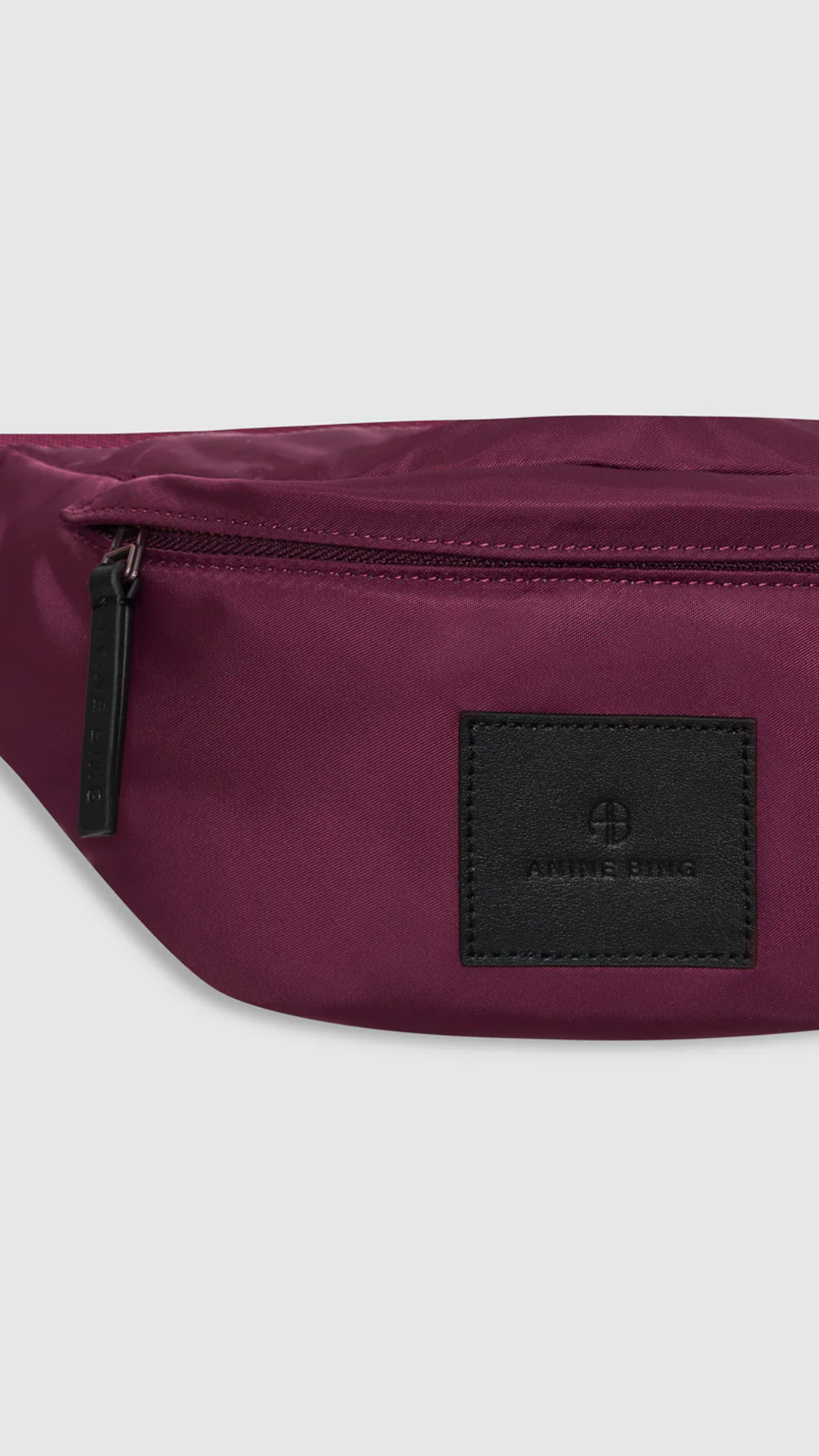 Anine Bing Leon Small Waist Bag Nylon in Fig